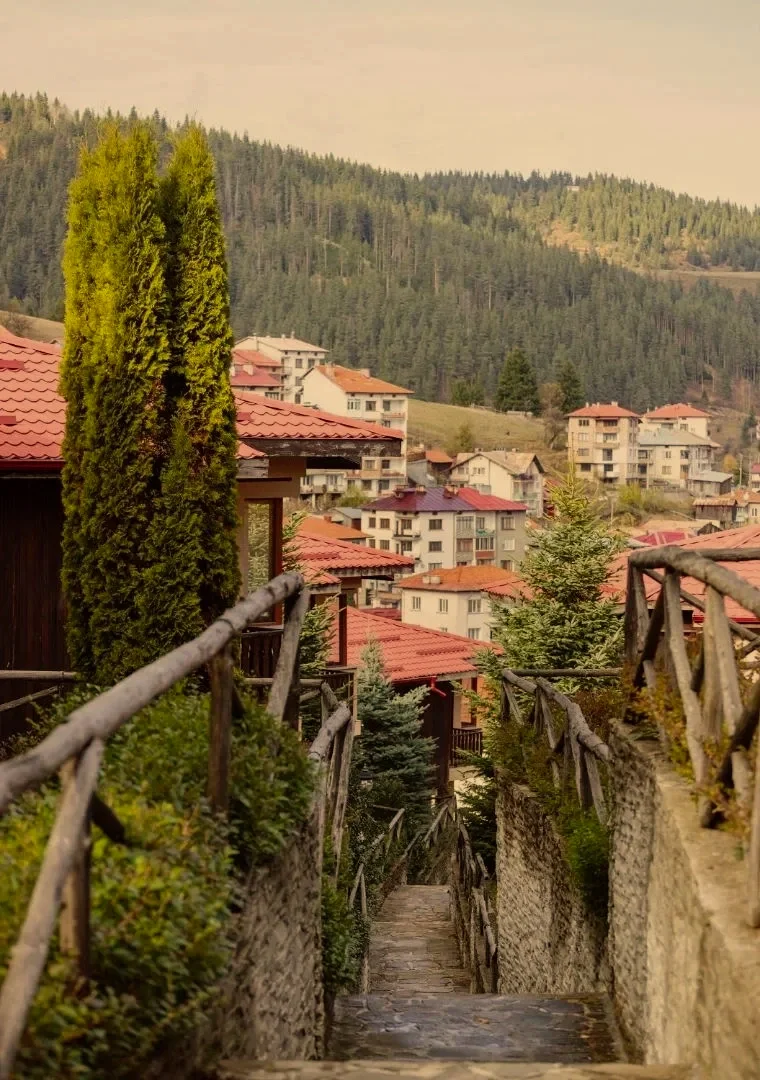 A narrow stone stairway with wooden railings flanked by green shrubs leading downhill to a small village with red-tiled roofs, set against a forested hillside.