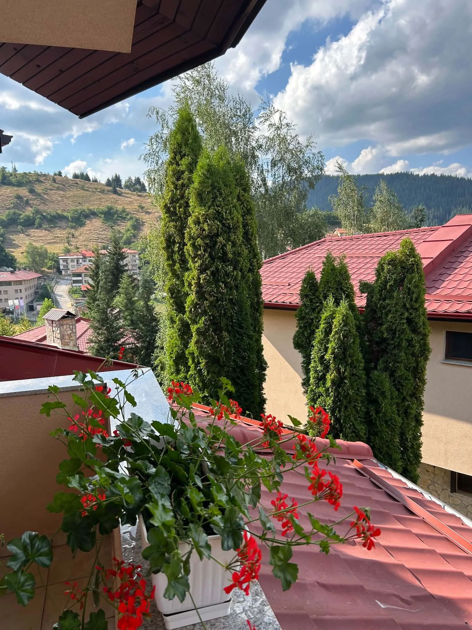 View from a balcony with red roof tiles, a white planter box with red geranium flowers, tall green trees, residential buildings, green hills, and a partly cloudy sky.