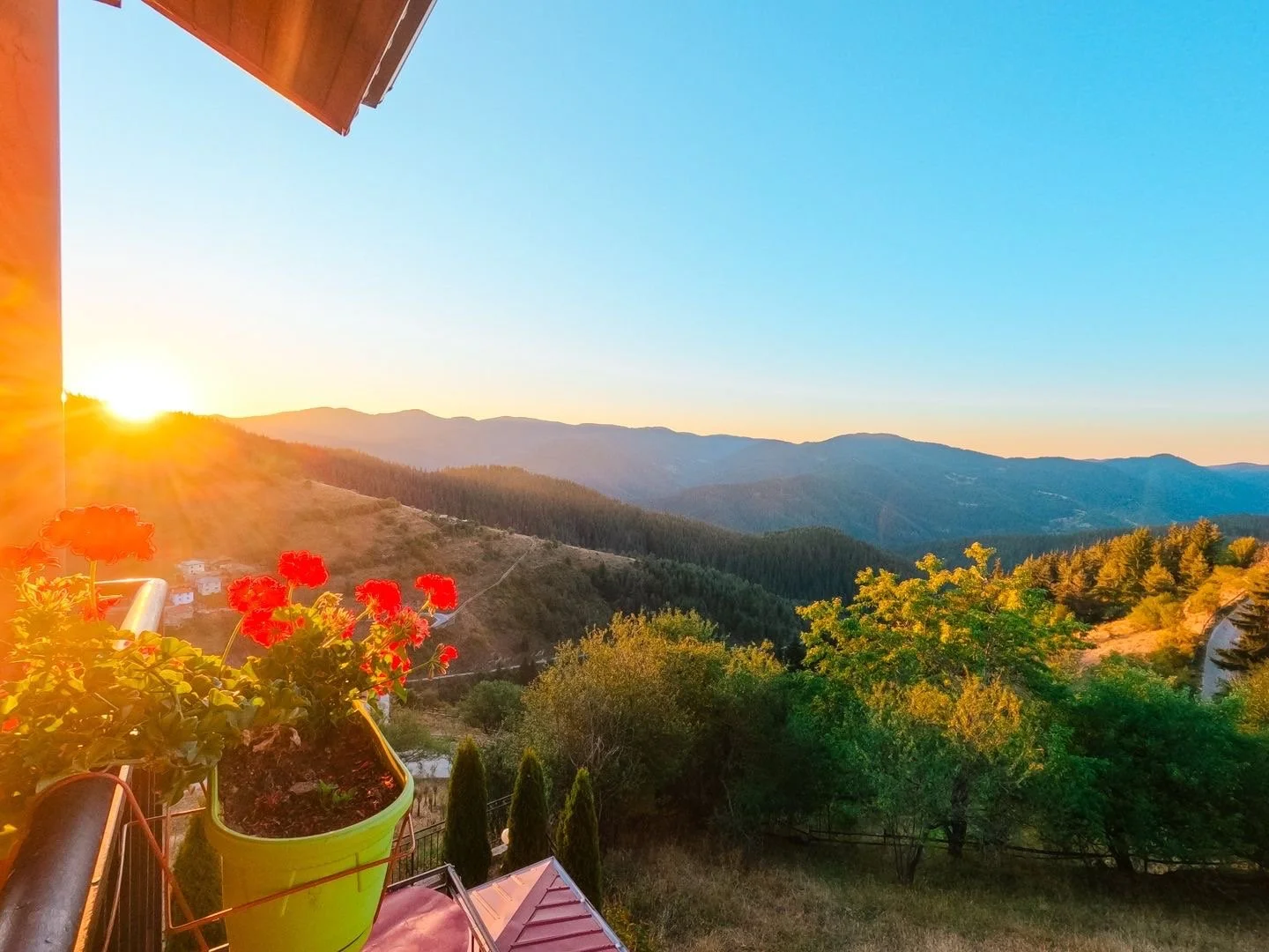 Sunset over mountains view from a balcony with potted red flowers in the foreground.