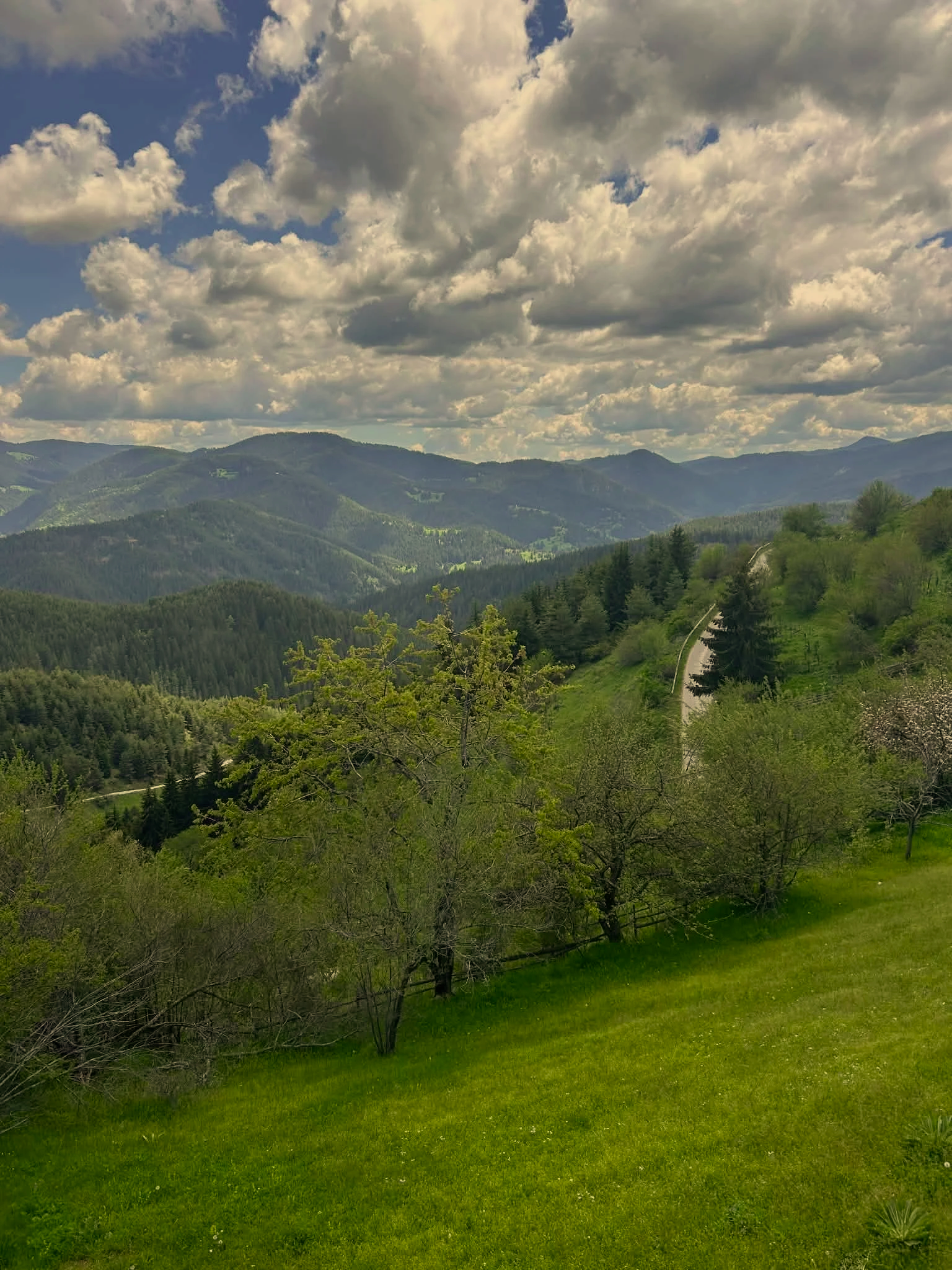 A scenic landscape of rolling green hills covered with trees under a sky filled with fluffy clouds.