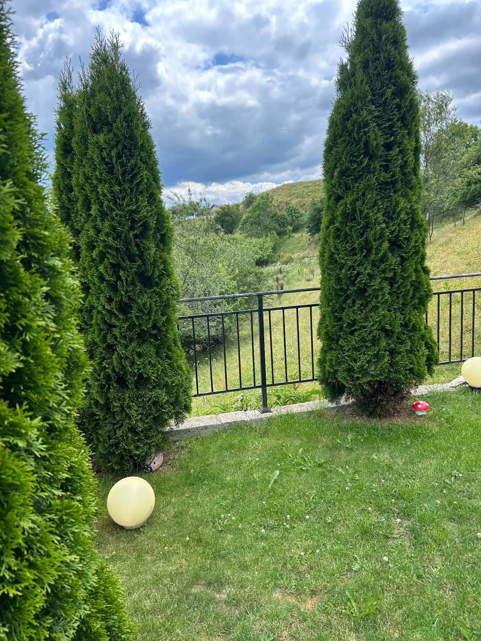 View of a backyard with tall evergreen trees, a black metal fence, a grassy yard with two round white lights, and distant hills under a partly cloudy sky.