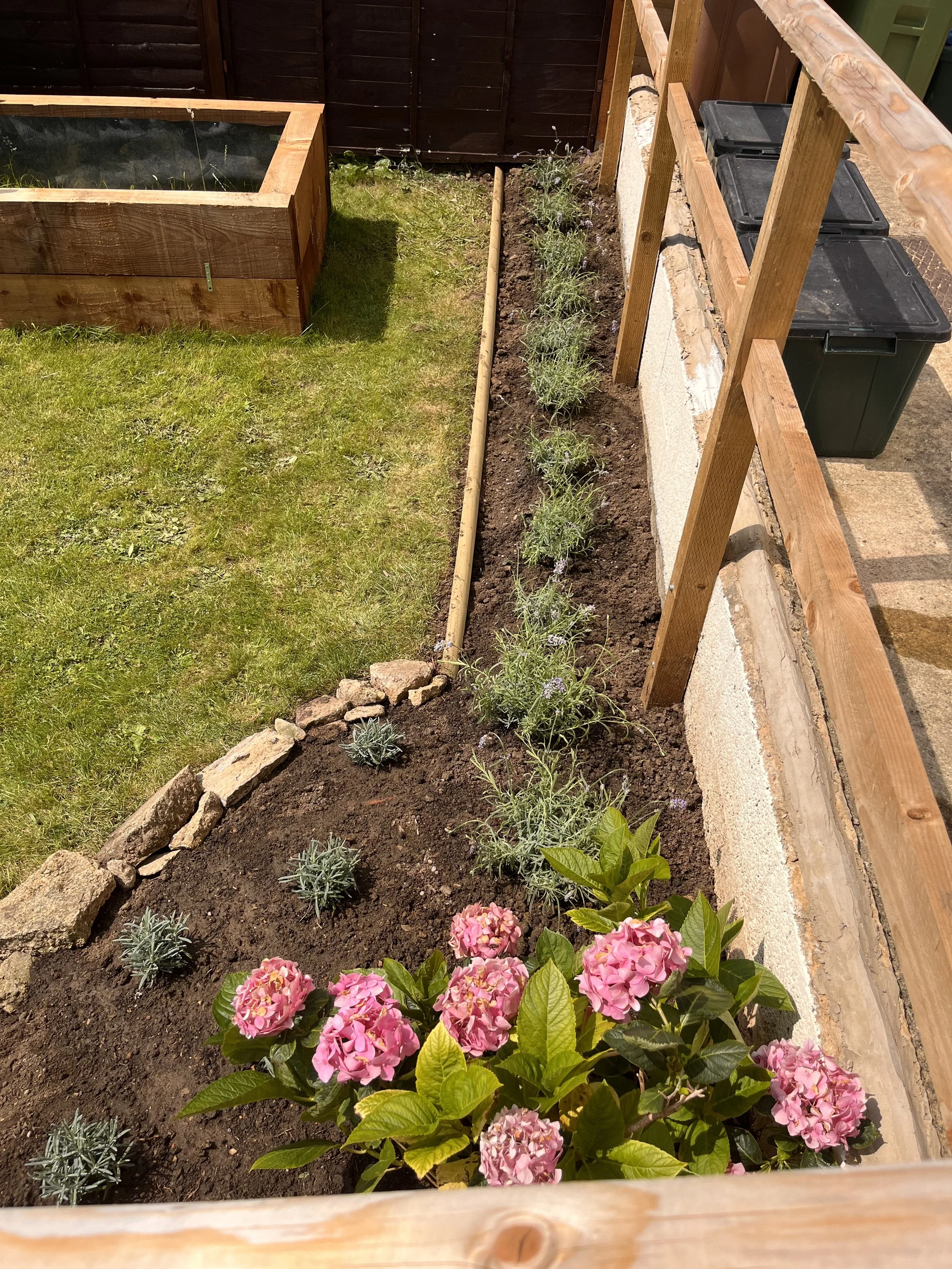 lavender plants, pink hydrangea, wooden fixtures