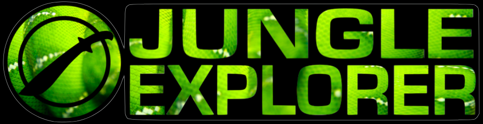 Jungle Explorer workshop