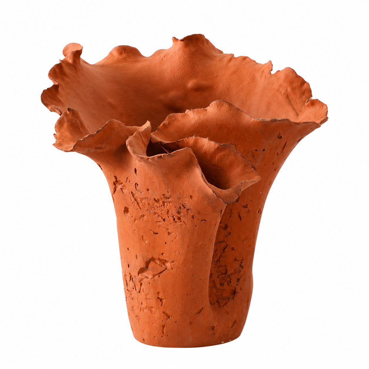 Terracotta Coral