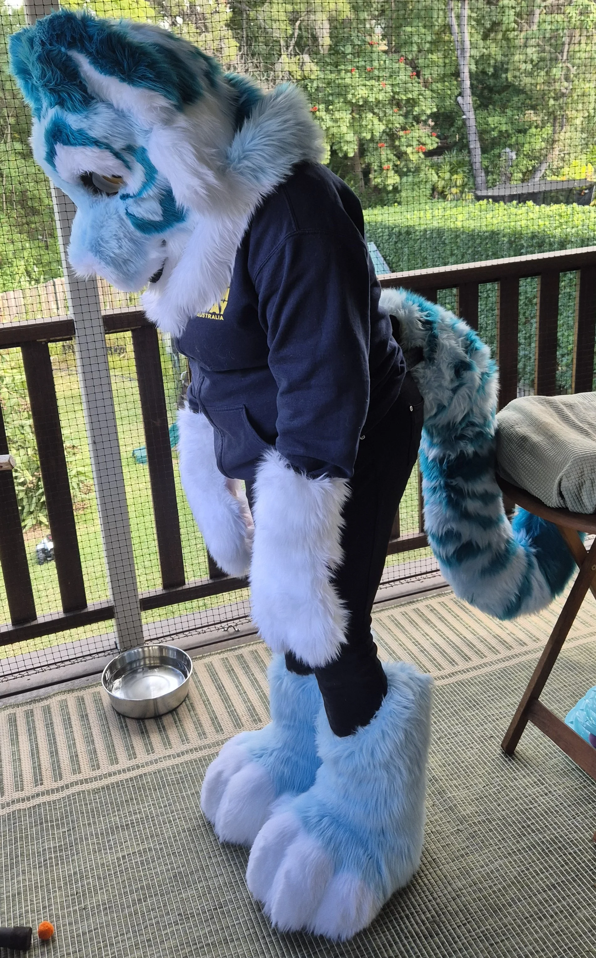 Person dressed in a blue and white tiger fursuit, slumped over as if they are sad. 