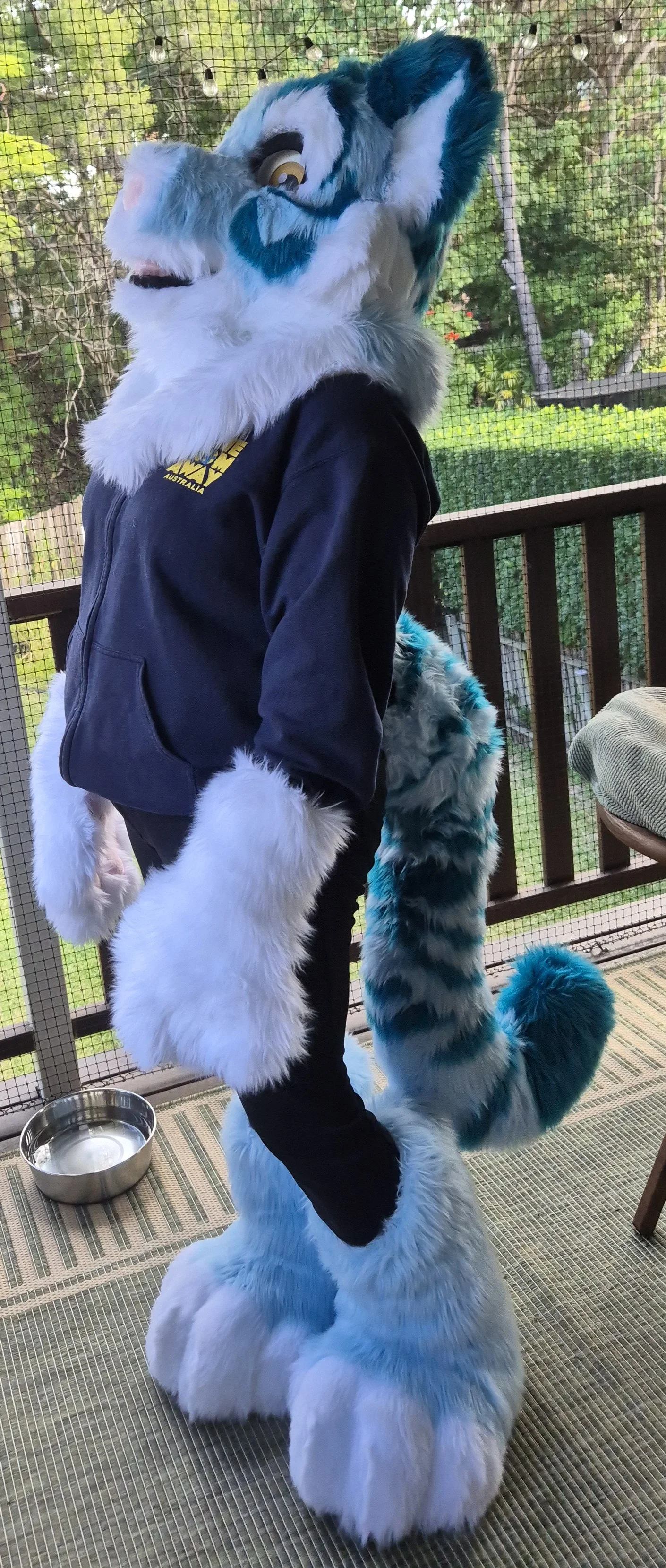 A person in a blue and white tiger fursuit, staring at the sky. 