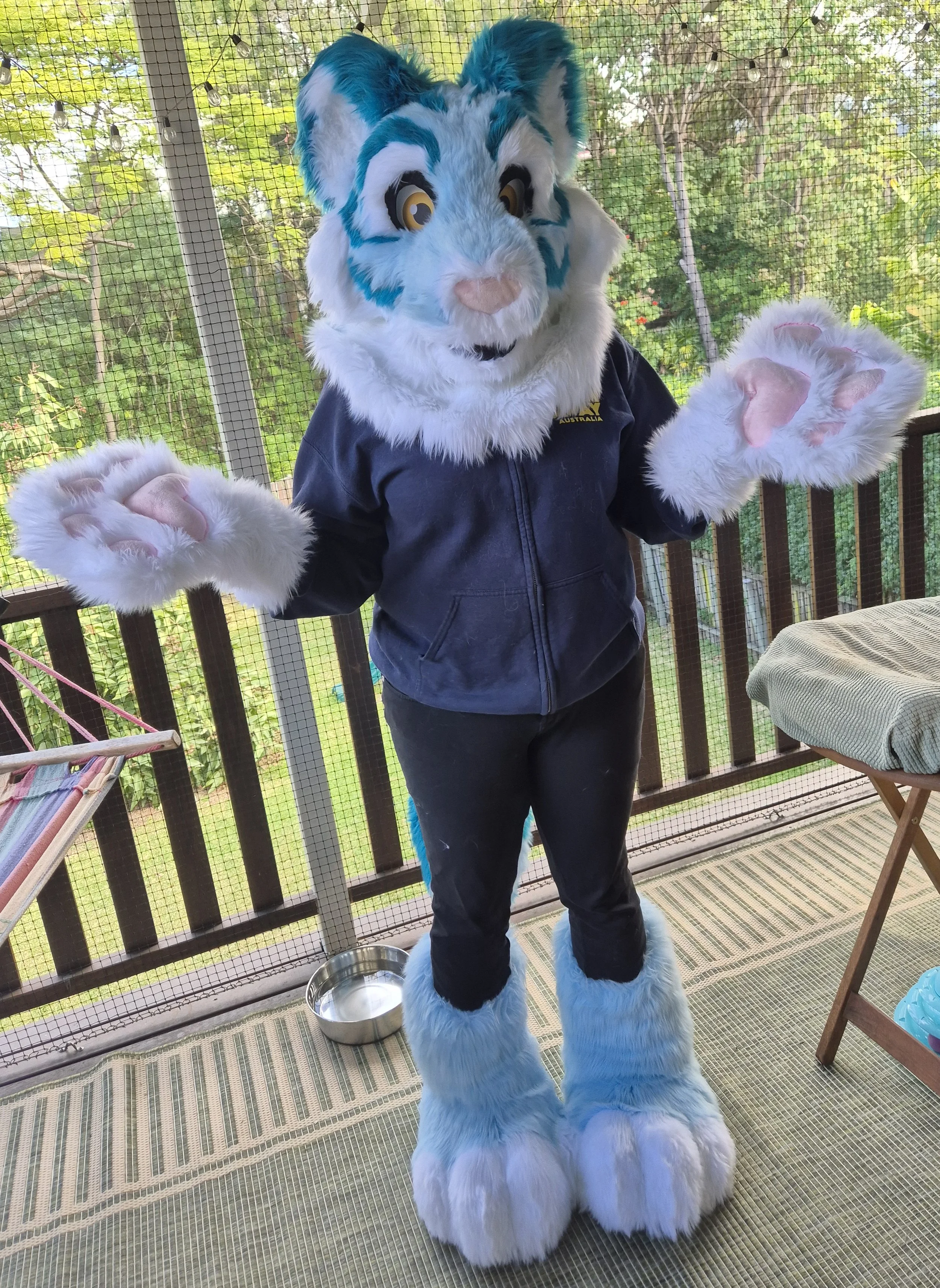 Person wearing a blue and white tiger fursuit with large paws, posting with their arms out. 