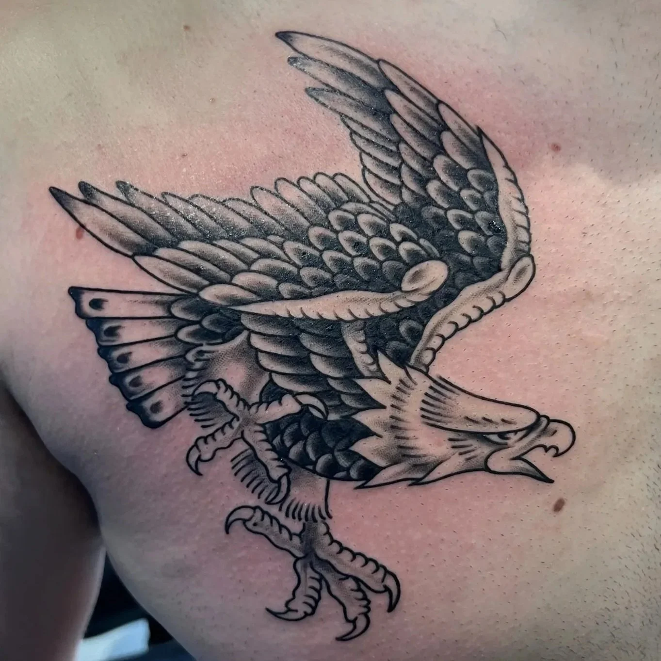 Tattoo of a detailed eagle with wide wings spread, clutching a snake in its talons, on skin.