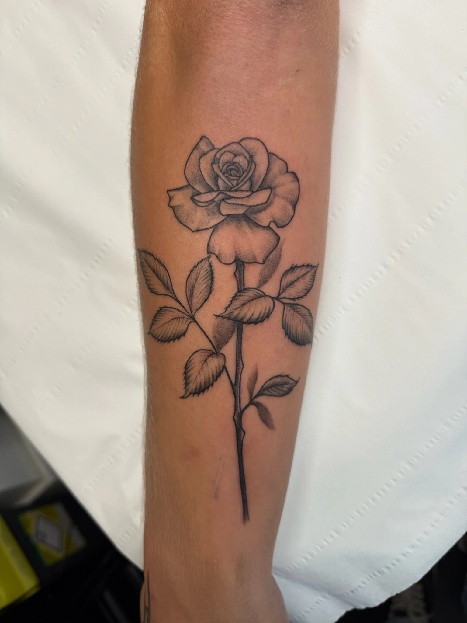 Black outline tattoo of a rose with leaves on a person's arm.