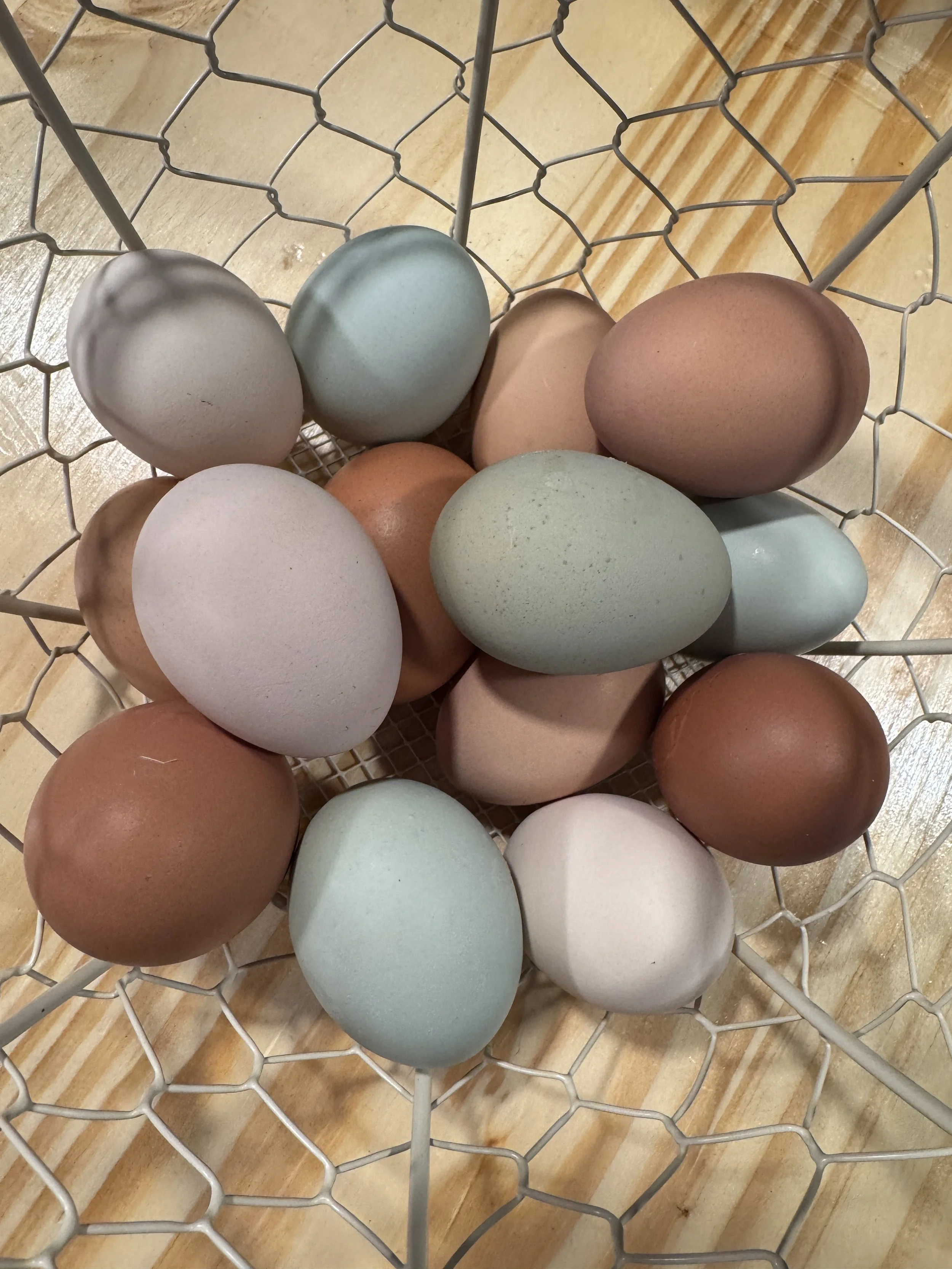 1/2 Dozen Washed Chicken Eggs