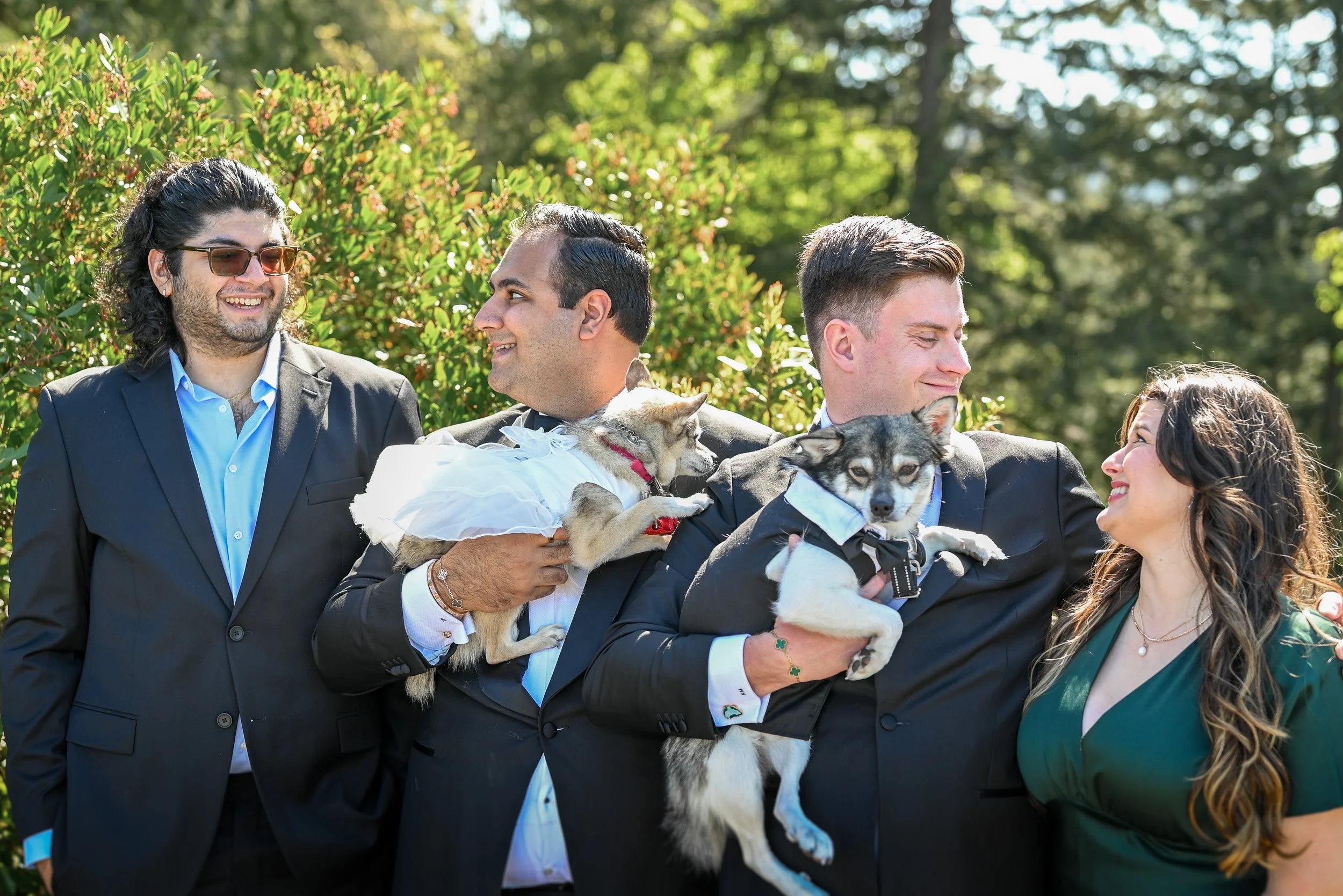 Whytecliff_Park_MicroWedding_Elopement-0093.jpg
