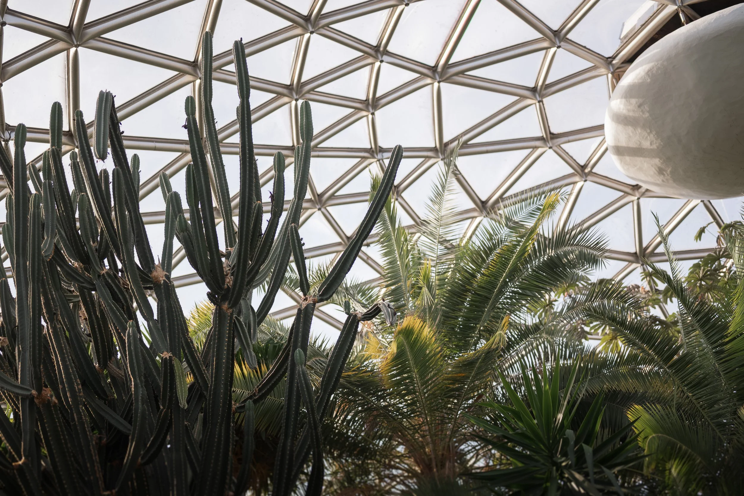 Bloedel_Conservatory_Wedding_Photographer-0001.jpg