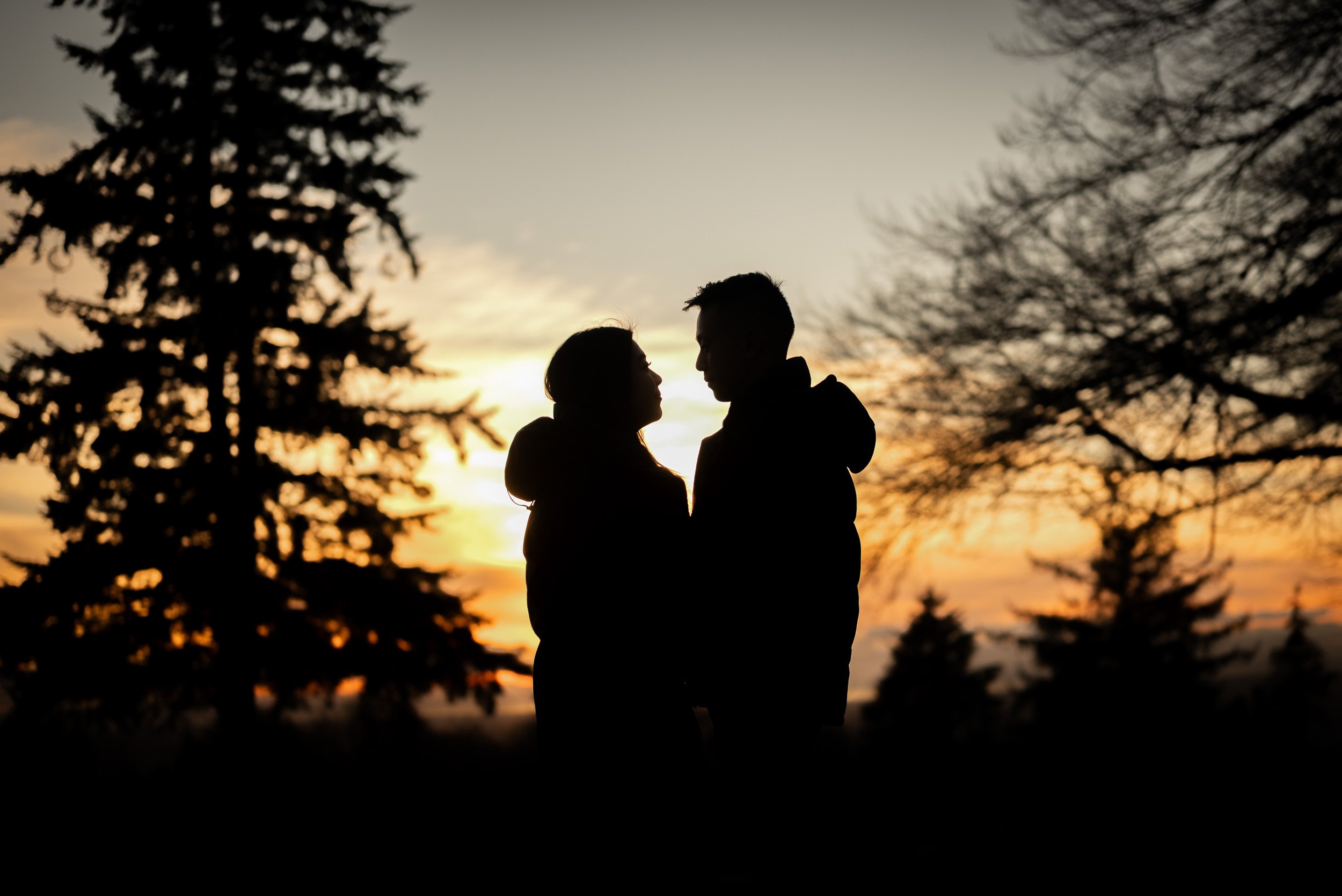 burnaby_mountain_proposal-0117.jpg
