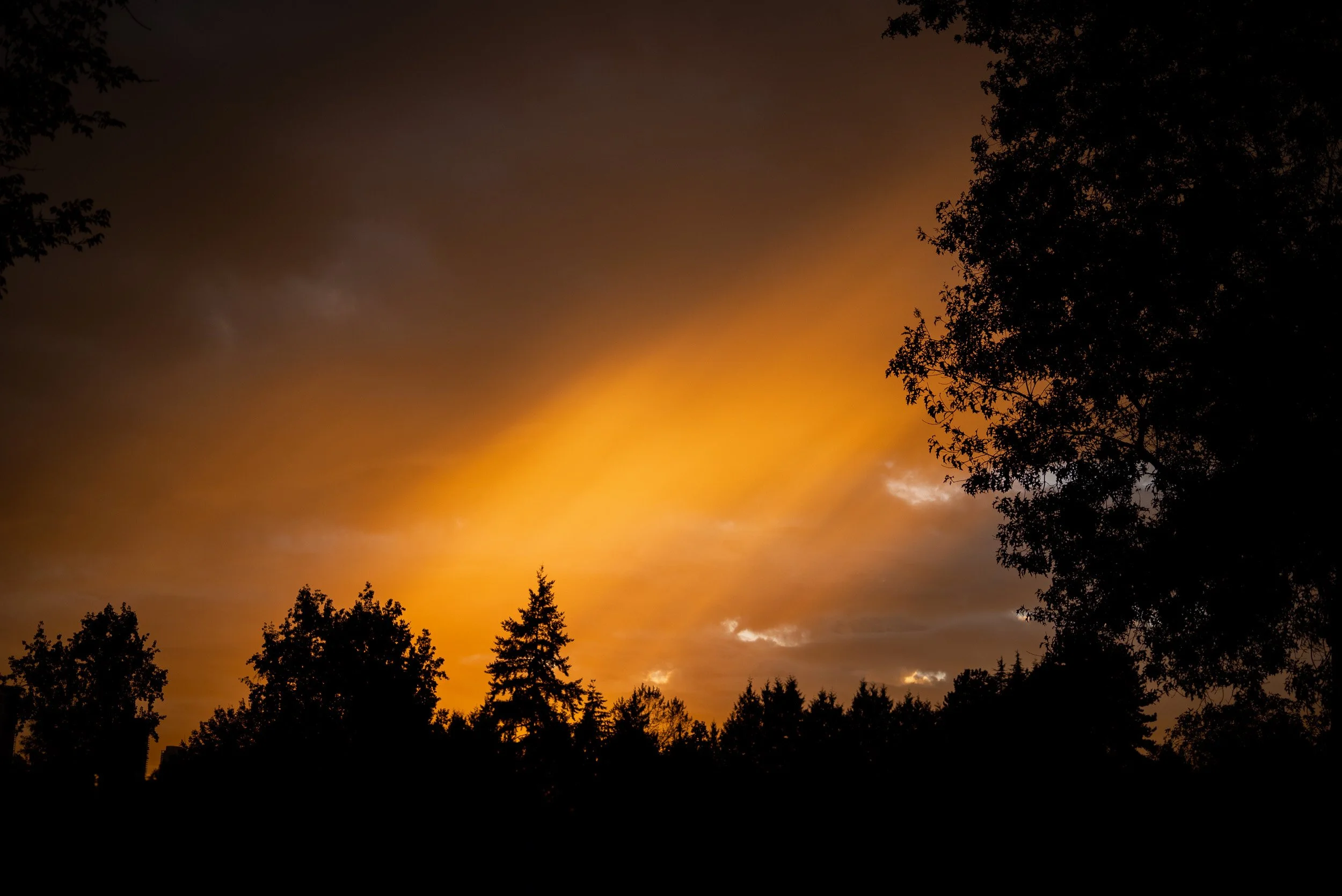 DeerLakePark_Burnaby_Proposal-0096.jpg