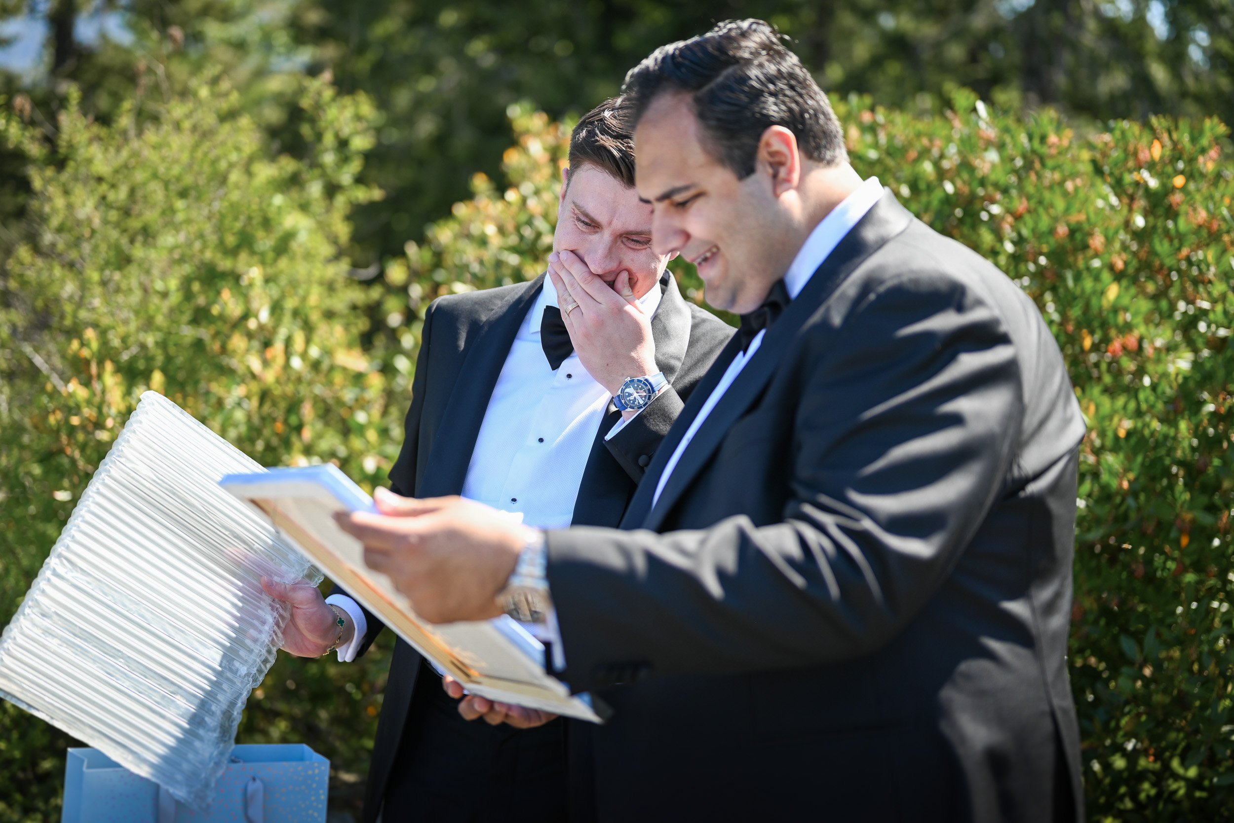 Whytecliff_Park_MicroWedding_Elopement-0166.jpg