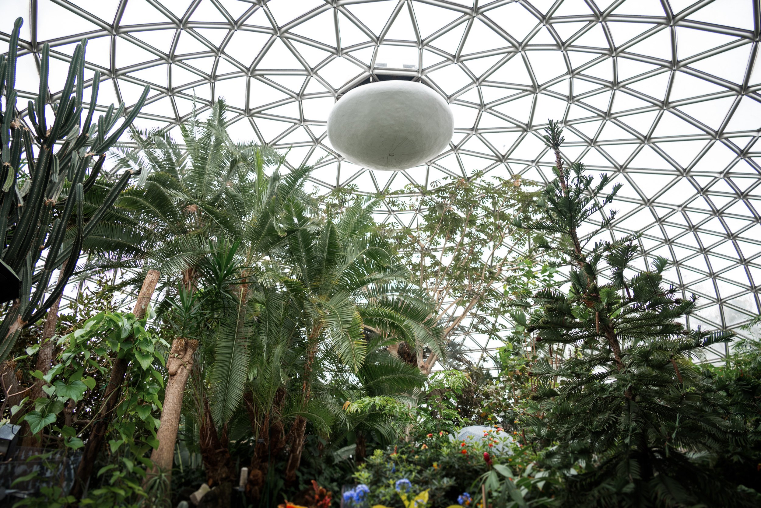 Bloedel_Conservatory_Wedding-0260.jpg