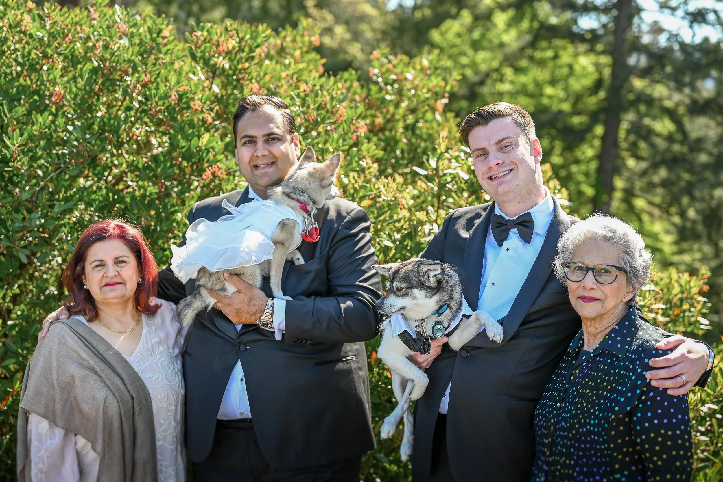 Whytecliff_Park_MicroWedding_Elopement-0094.jpg