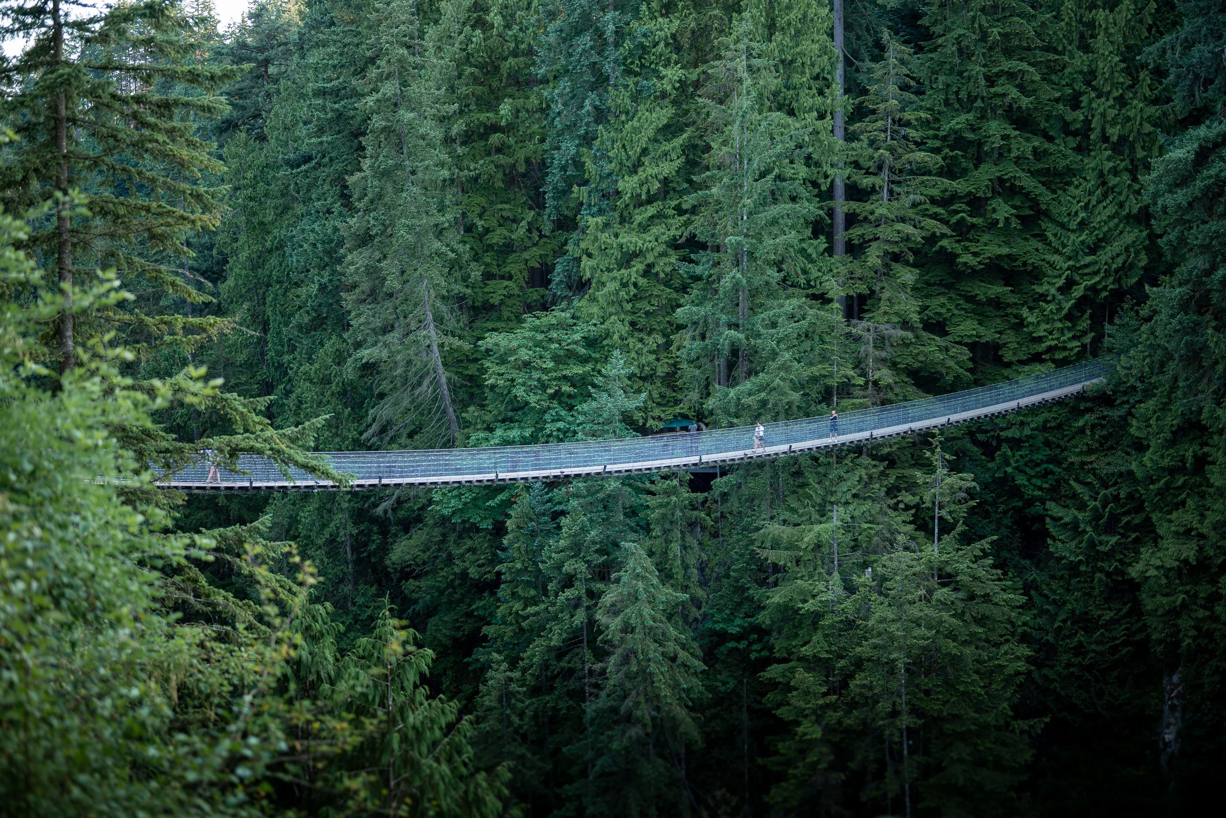 CapilanoSuspensionBridgeProposal-0029.jpg