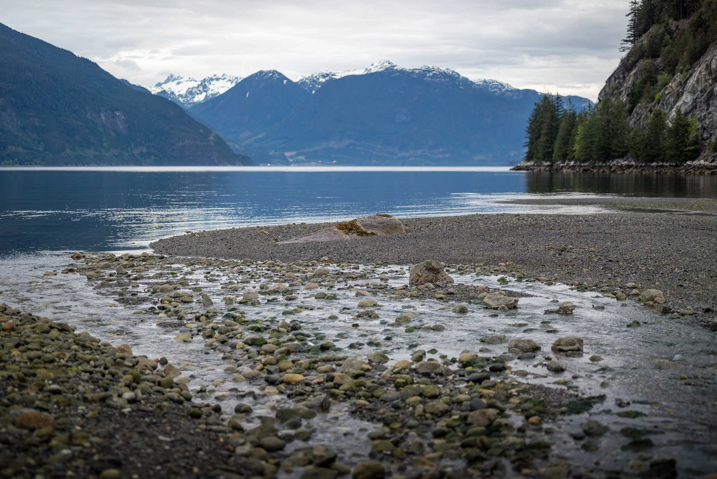 Porteau_Cove_Couples_Photoshoot-0167.jpg
