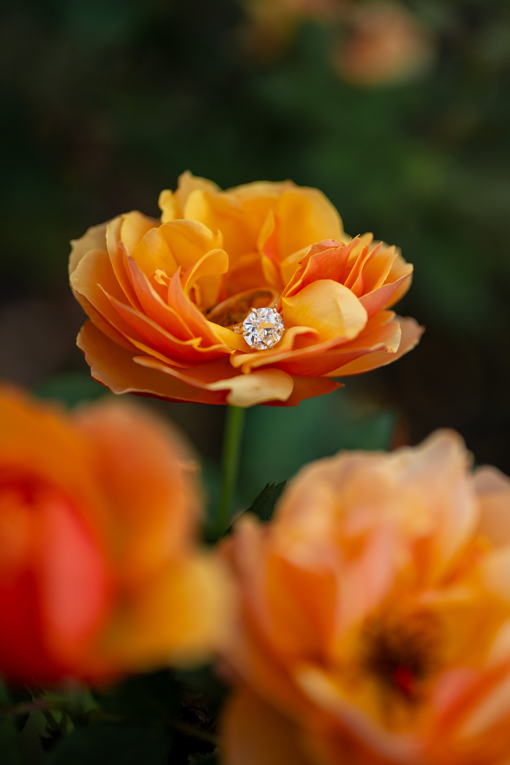 StanleyParkProposal-0112.jpg