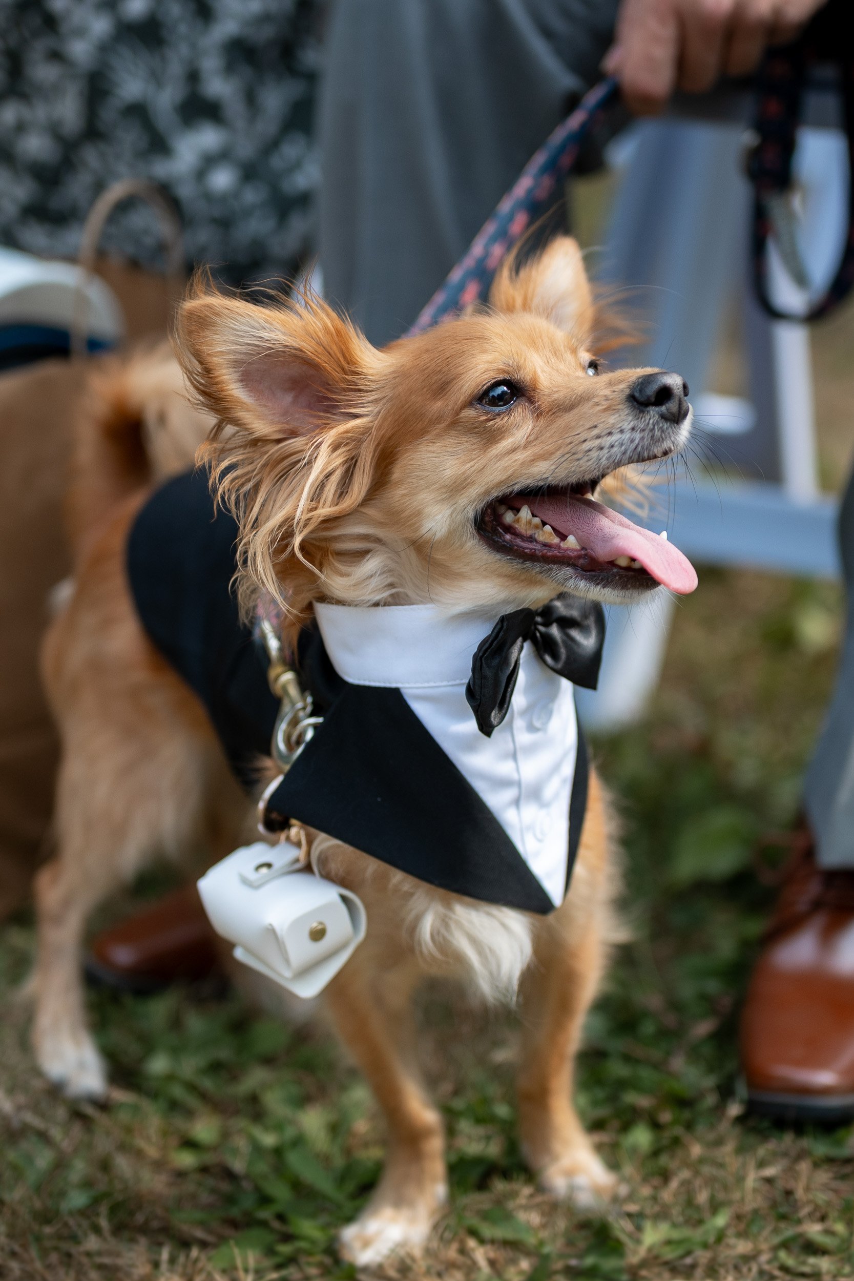 QueenElizabethParkWedding_GA-0012.jpg