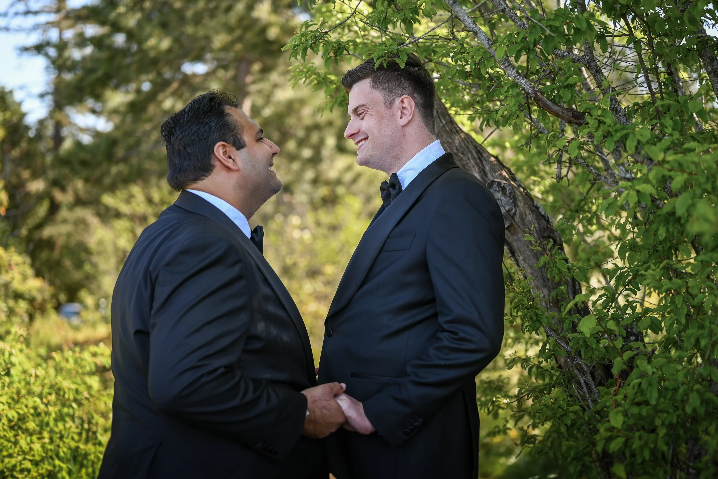 Whytecliff_Park_MicroWedding_Elopement-0115.jpg