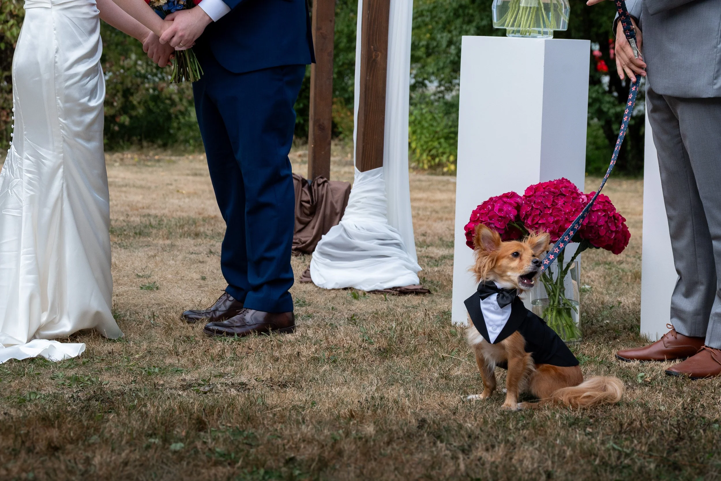 QueenElizabethParkWedding_C-0127.jpg