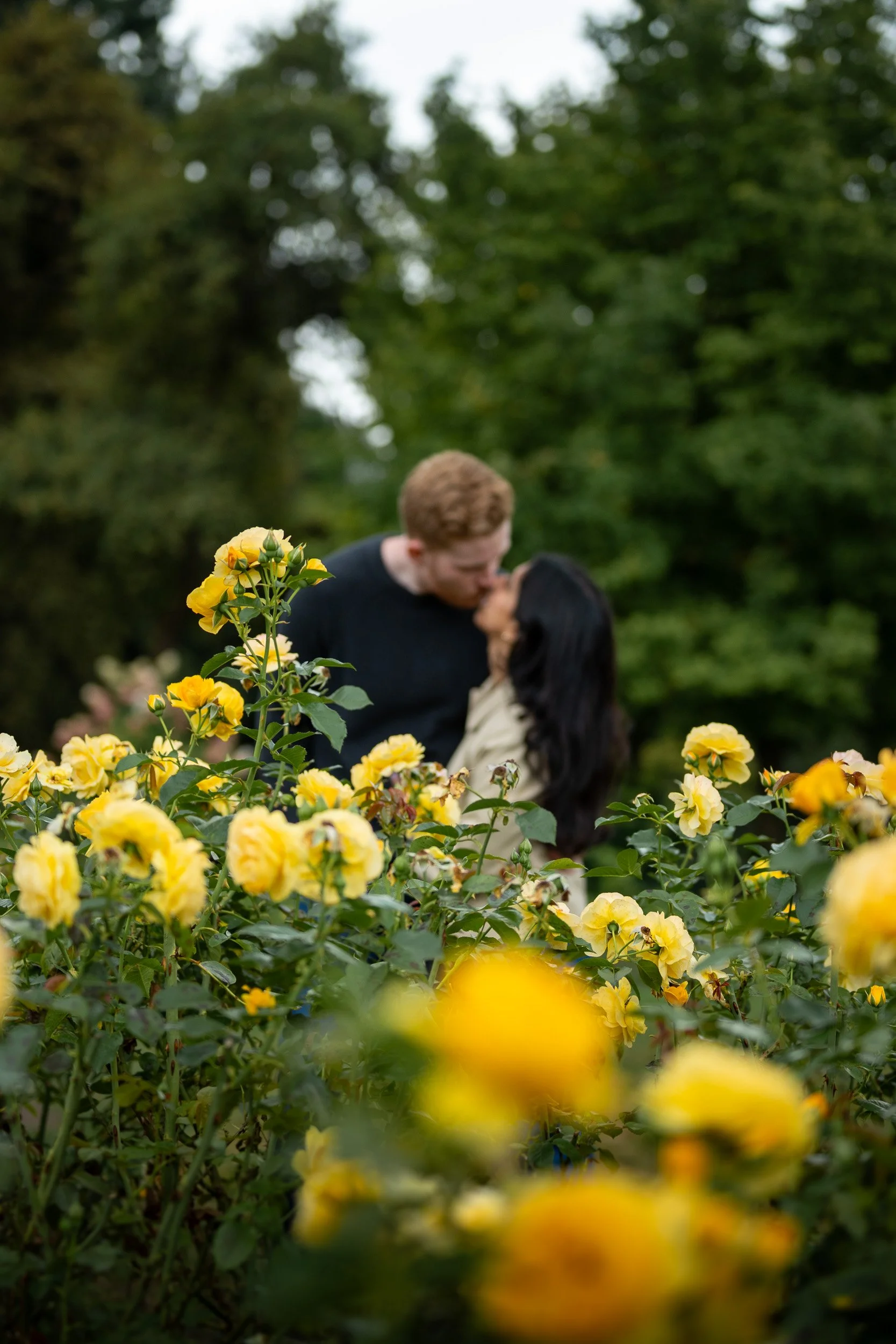 StanleyParkProposal-0107.jpg