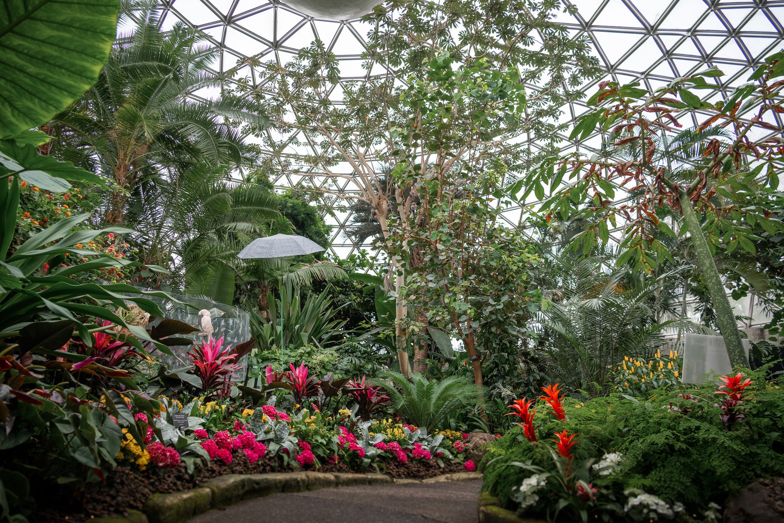 Bloedel_Conservatory_Wedding-0264.jpg