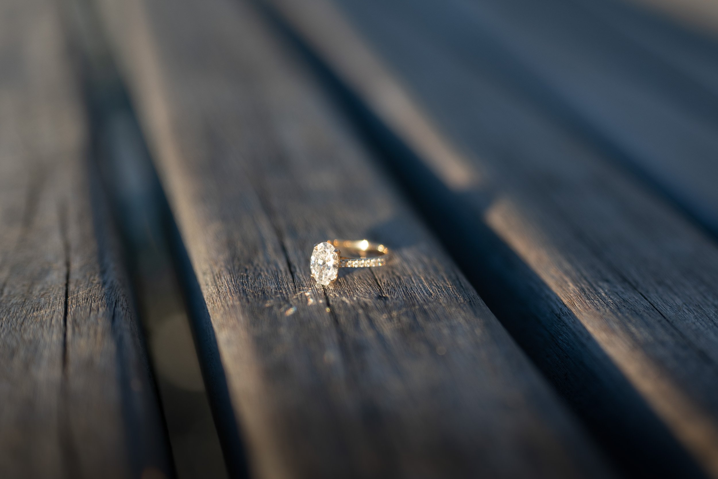 burnaby_mountain_proposal-0030.jpg