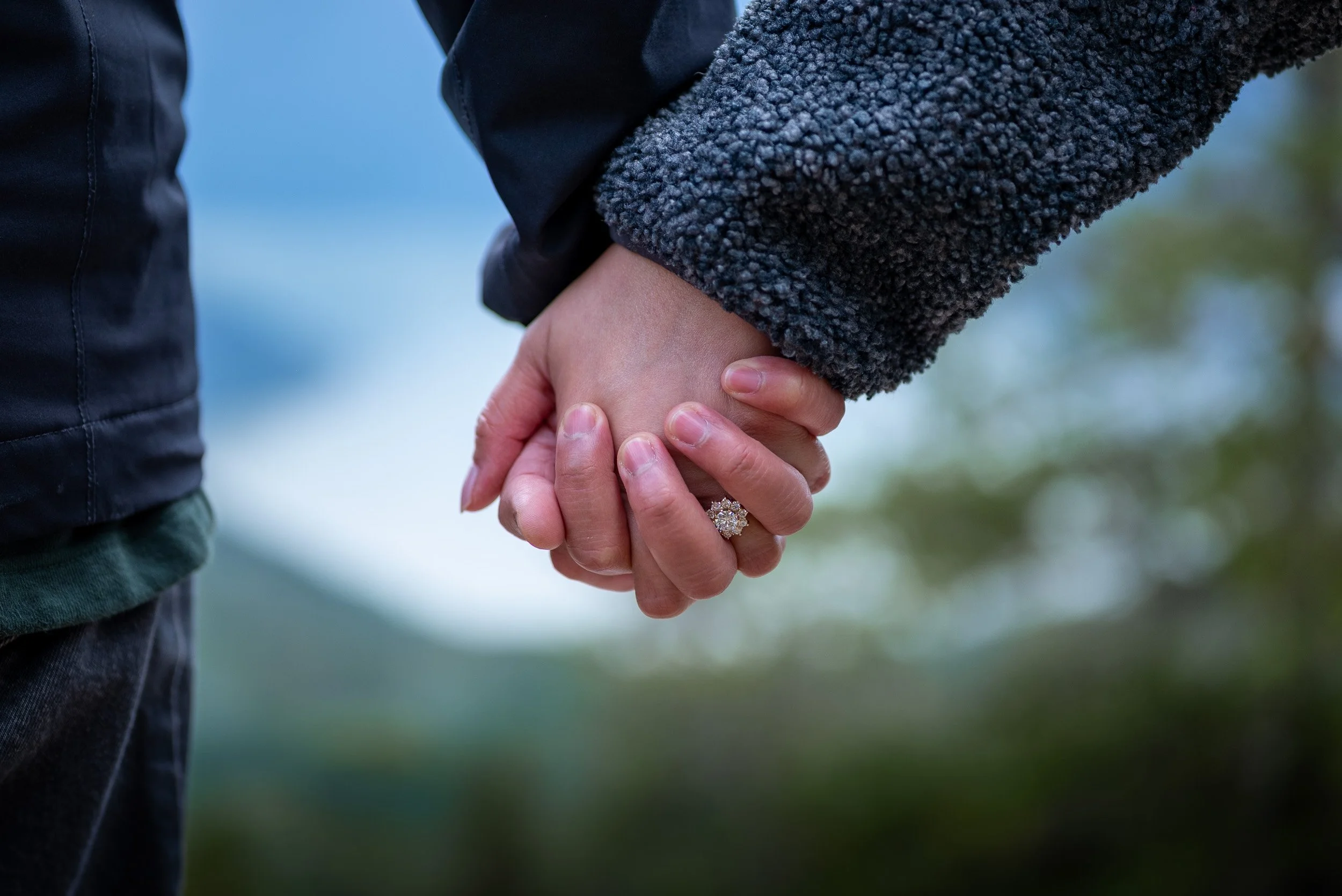 SeatoSkyGondola_Proposal_Photography-0031.jpg