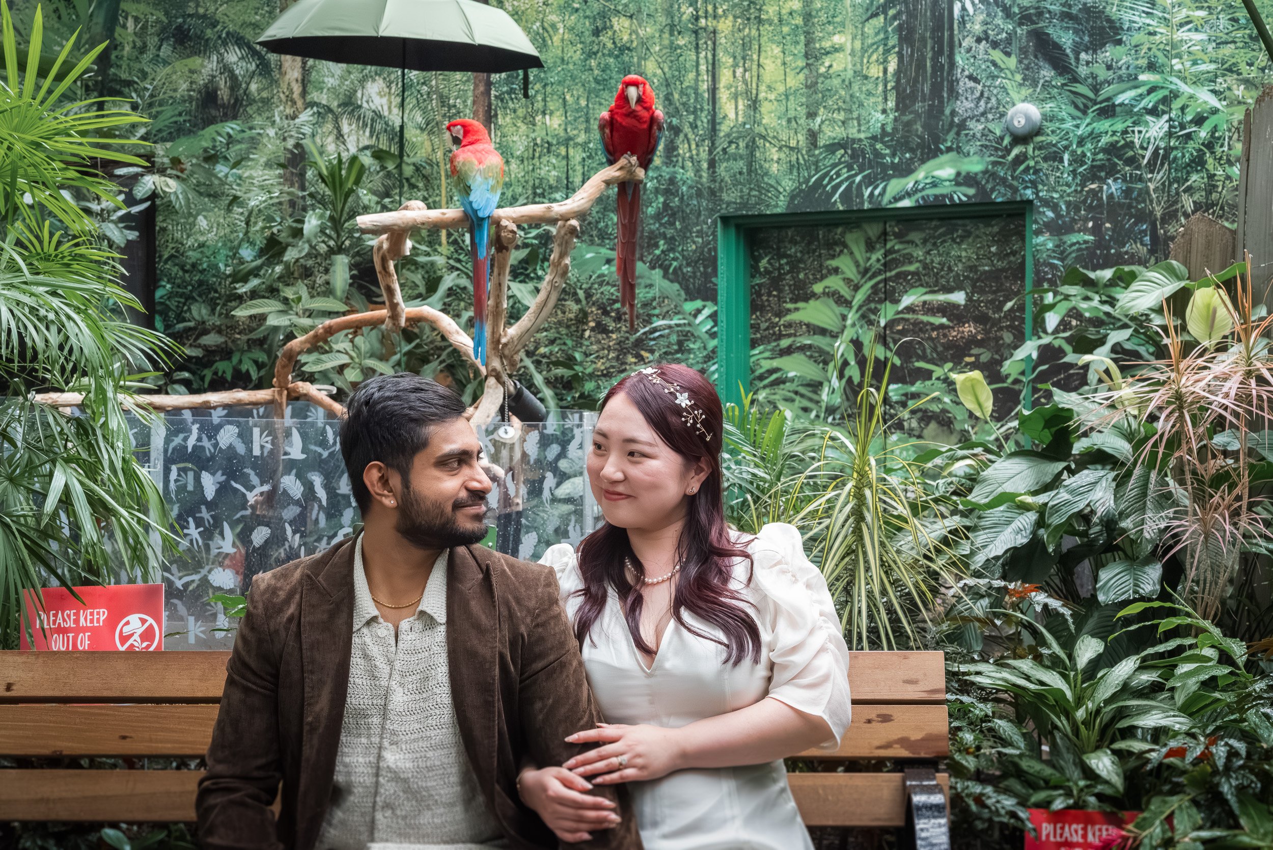 Bloedel_Conservatory_Wedding-0166.jpg