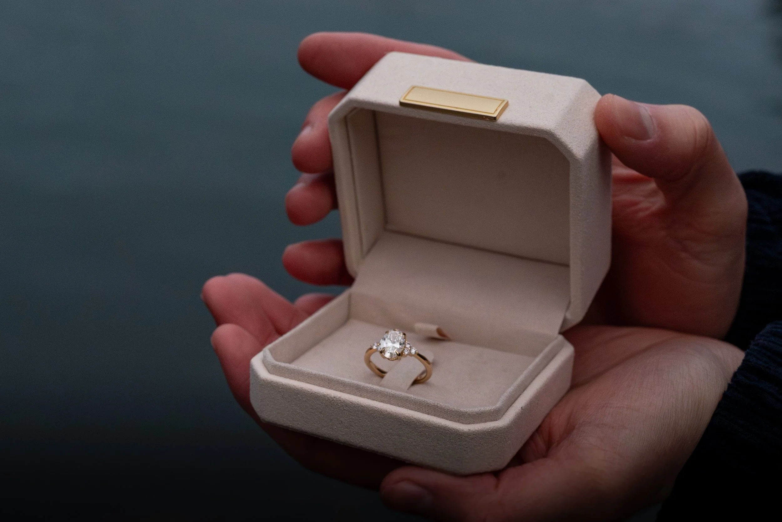 VancouverSurpriseProposal-0070.jpg