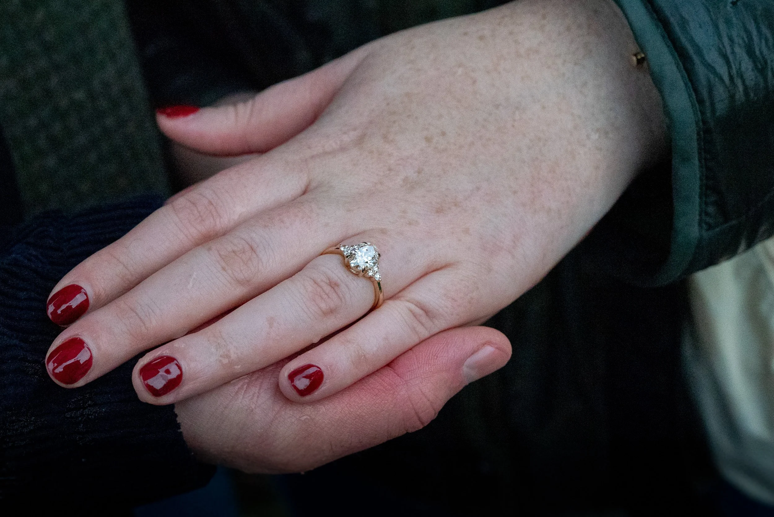 VancouverSurpriseProposal-0021.jpg