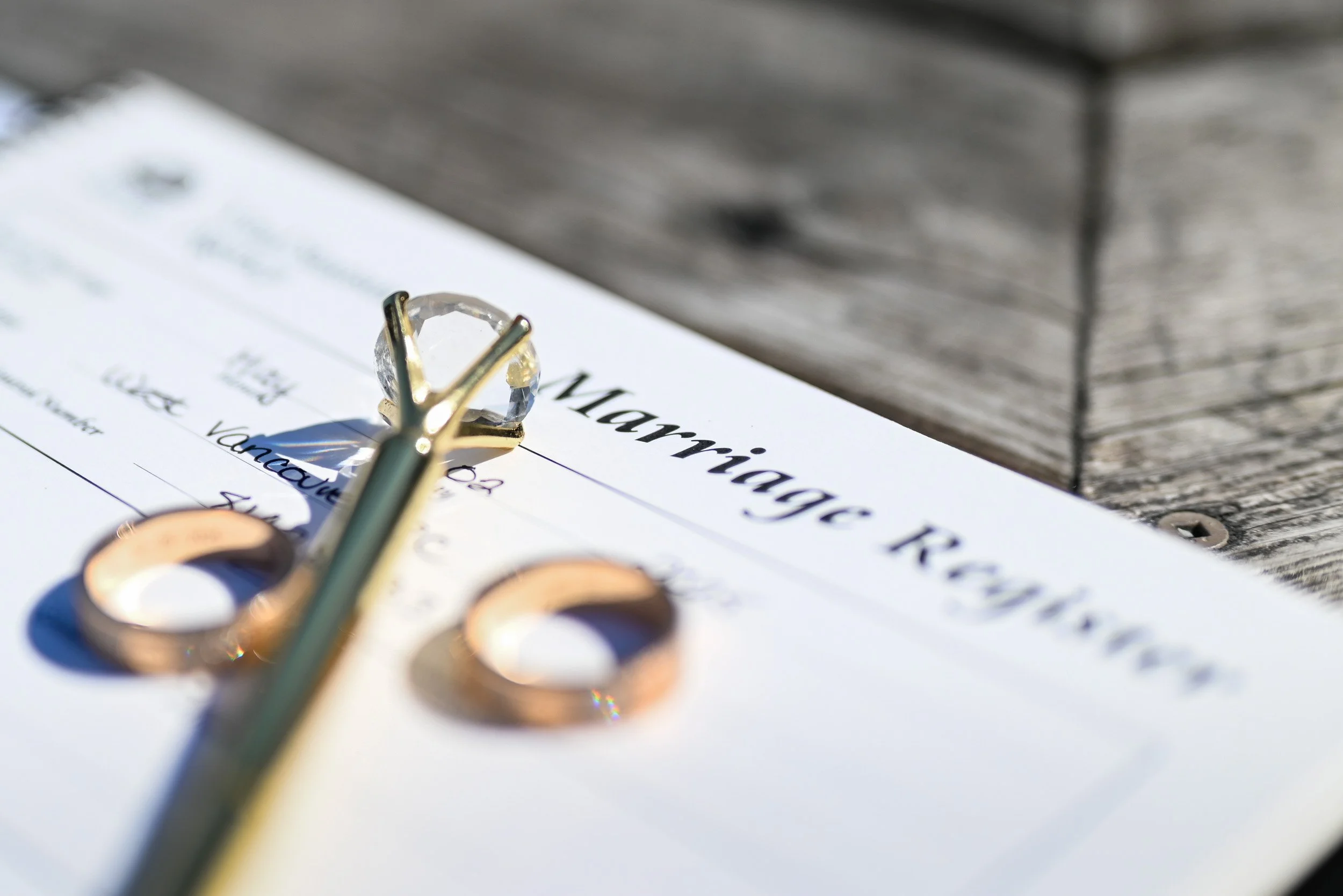 Whytecliff_Park_MicroWedding_Elopement-0029.jpg