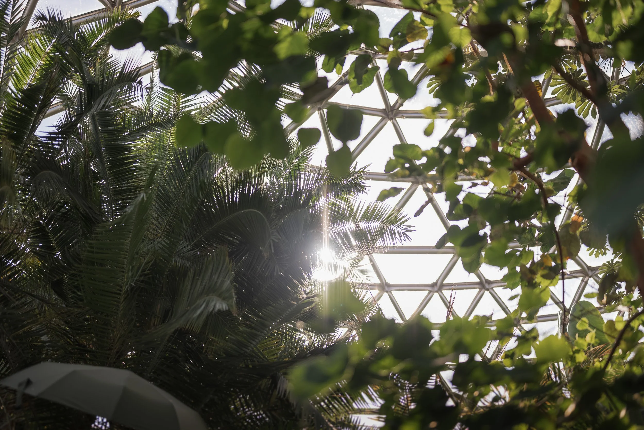 Bloedel_Conservatory_Wedding_Photographer-0002.jpg