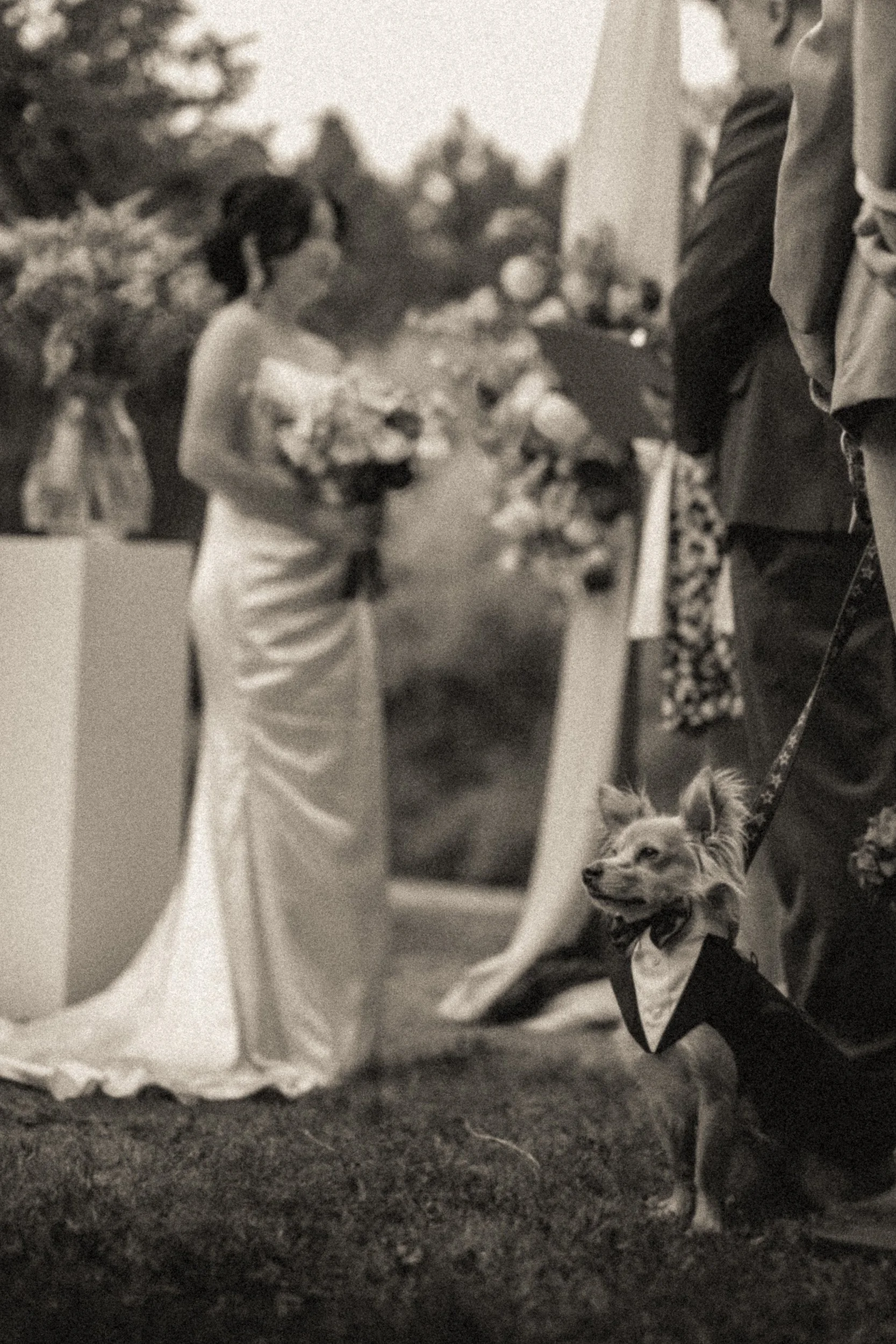 QueenElizabethParkWedding_C-0077.jpg