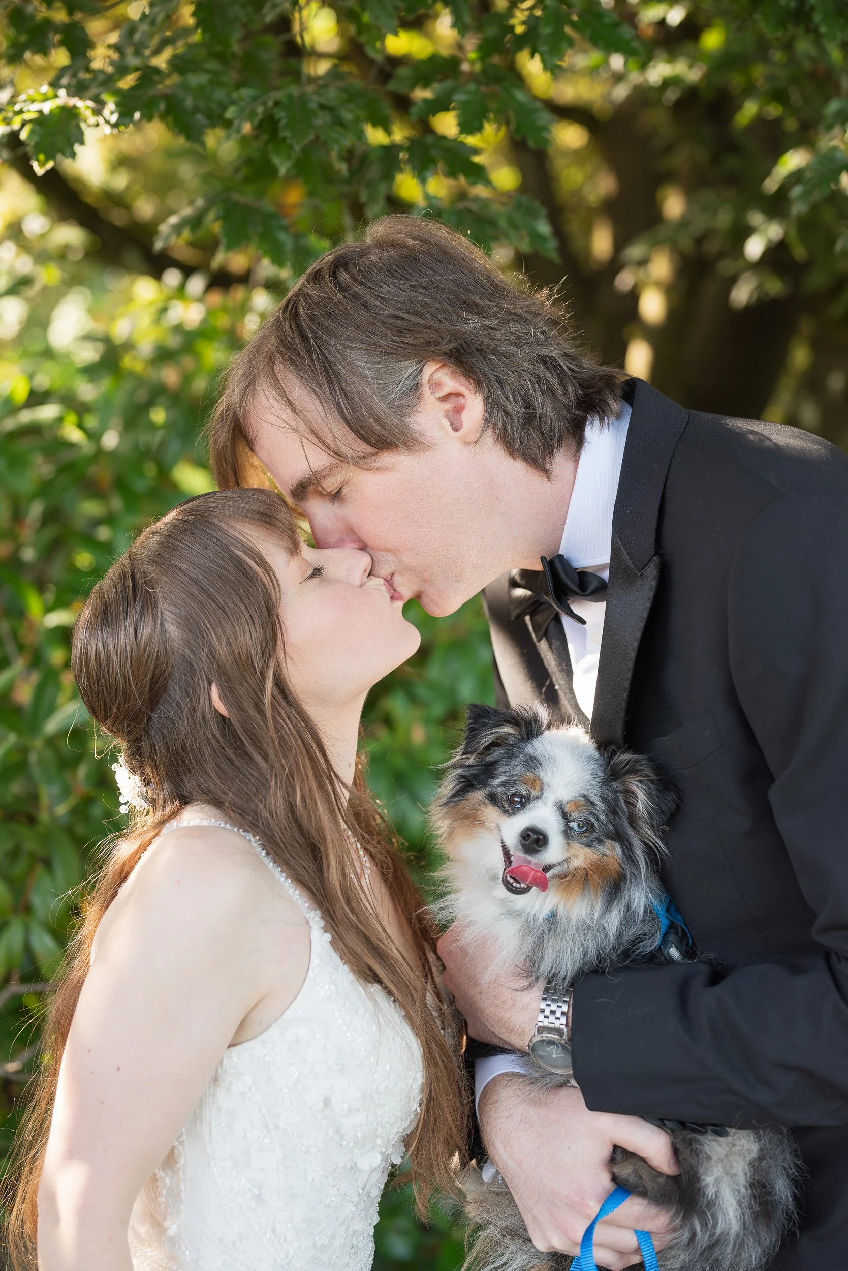 A man in a tuxedo and a woman in a white dress share a kiss outdoors, holding a dog with a blue leash and an Australian Shepherd appearance. Green trees are in the background.