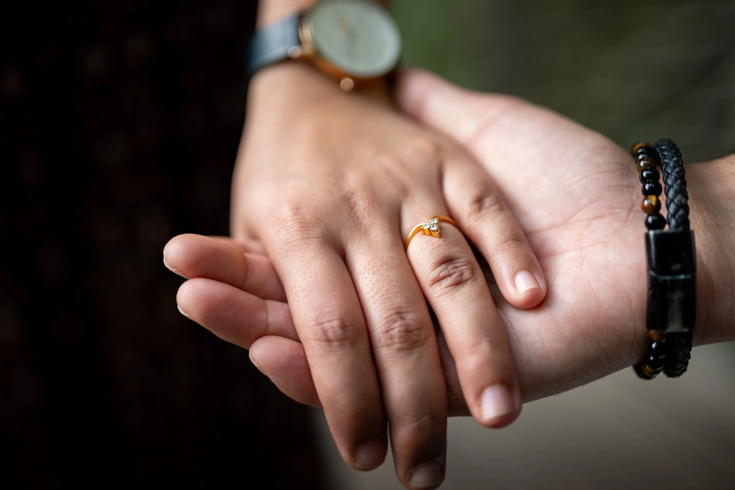 CapilanoSuspensionBridgeProposal-0074.jpg