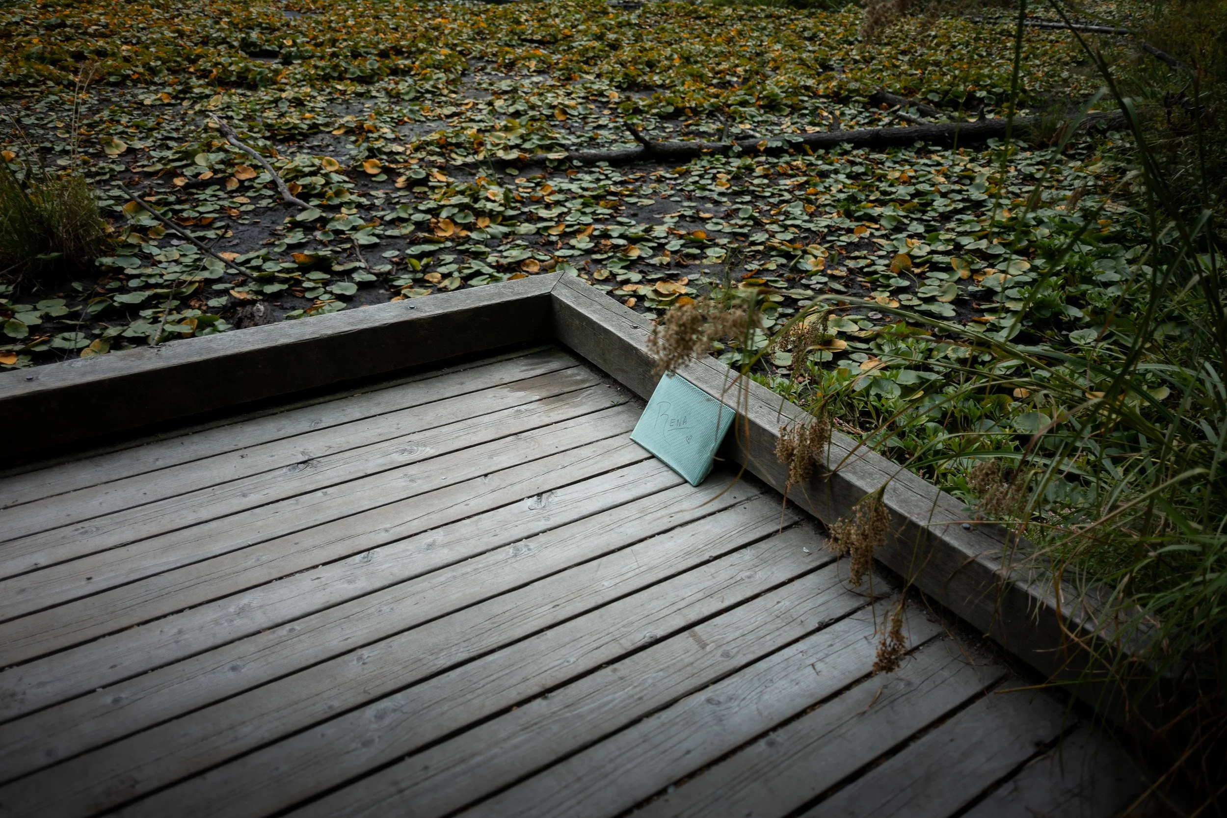 StanleyParkProposal-0009.jpg