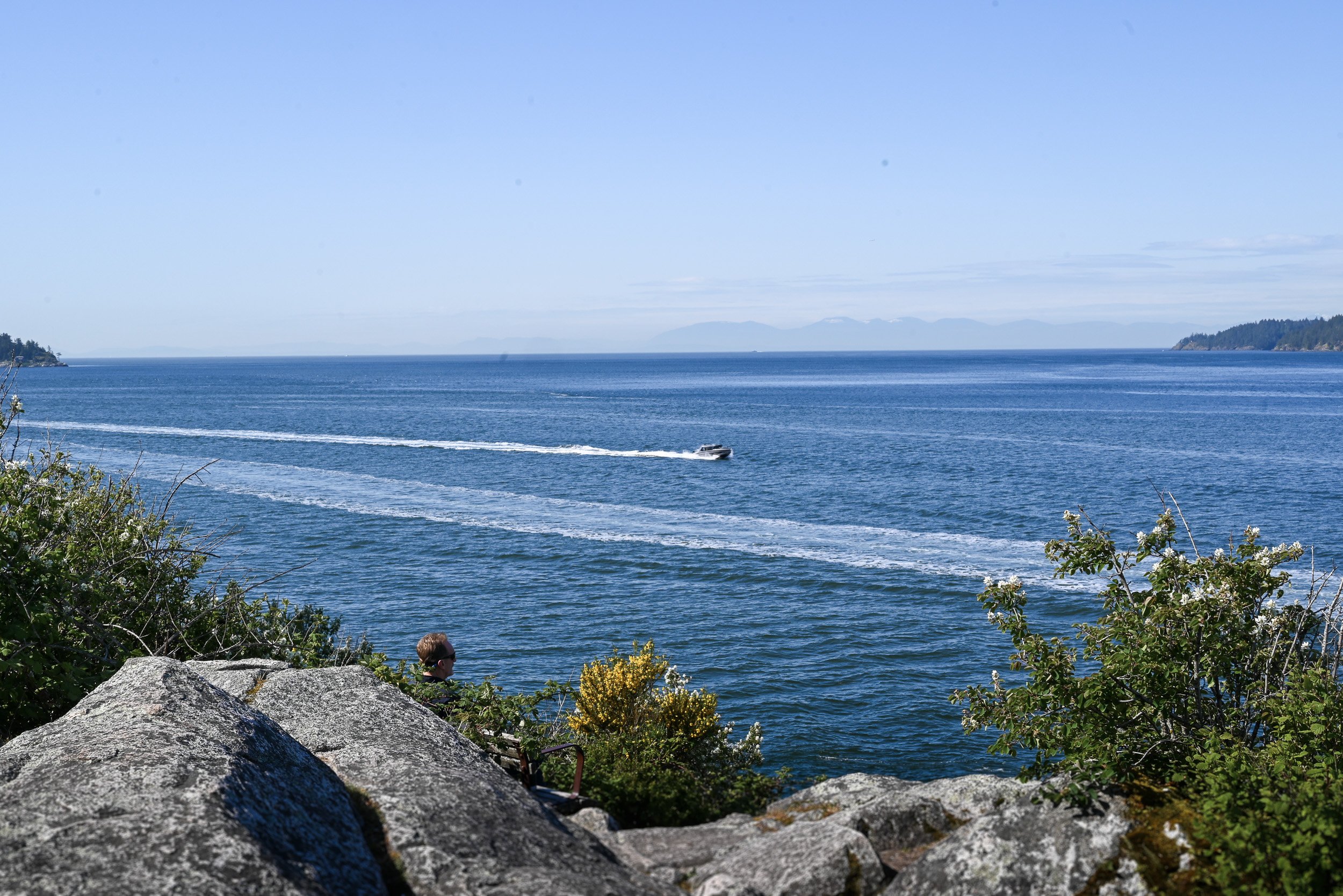 Whytecliff_Park_MicroWedding_Elopement-0003.jpg