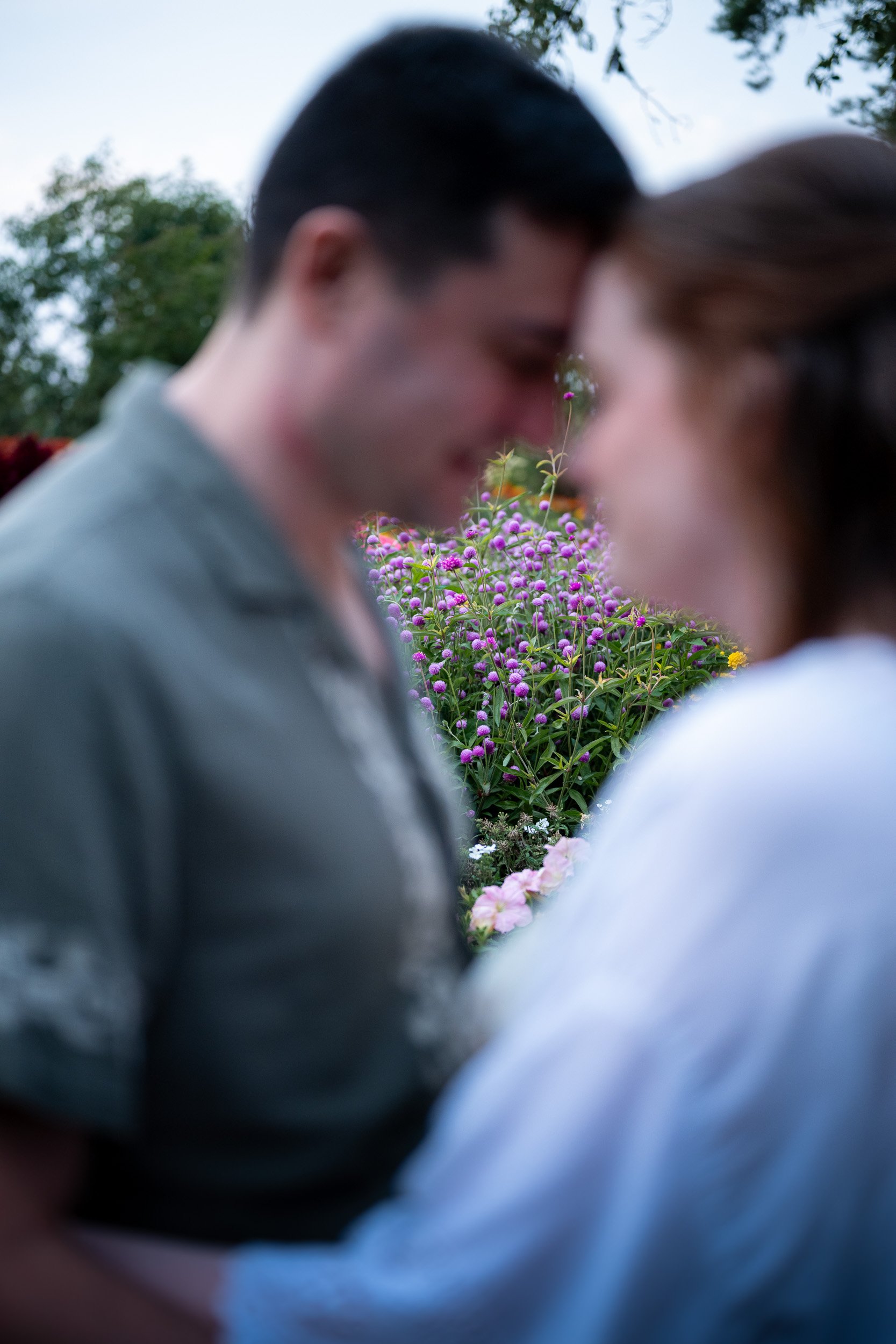 QueenElizabethPark_Engagement_Photographer-0076.jpg