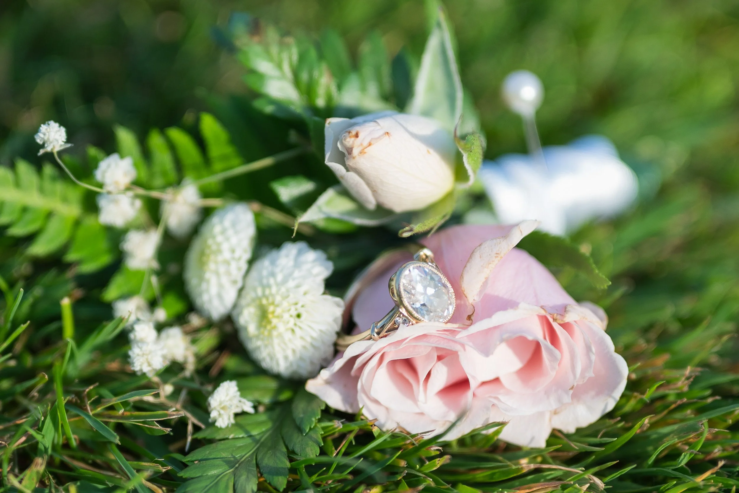 Close-up of a wedding ring resting on a pink rose petal with greenery and small white flowers in the background.