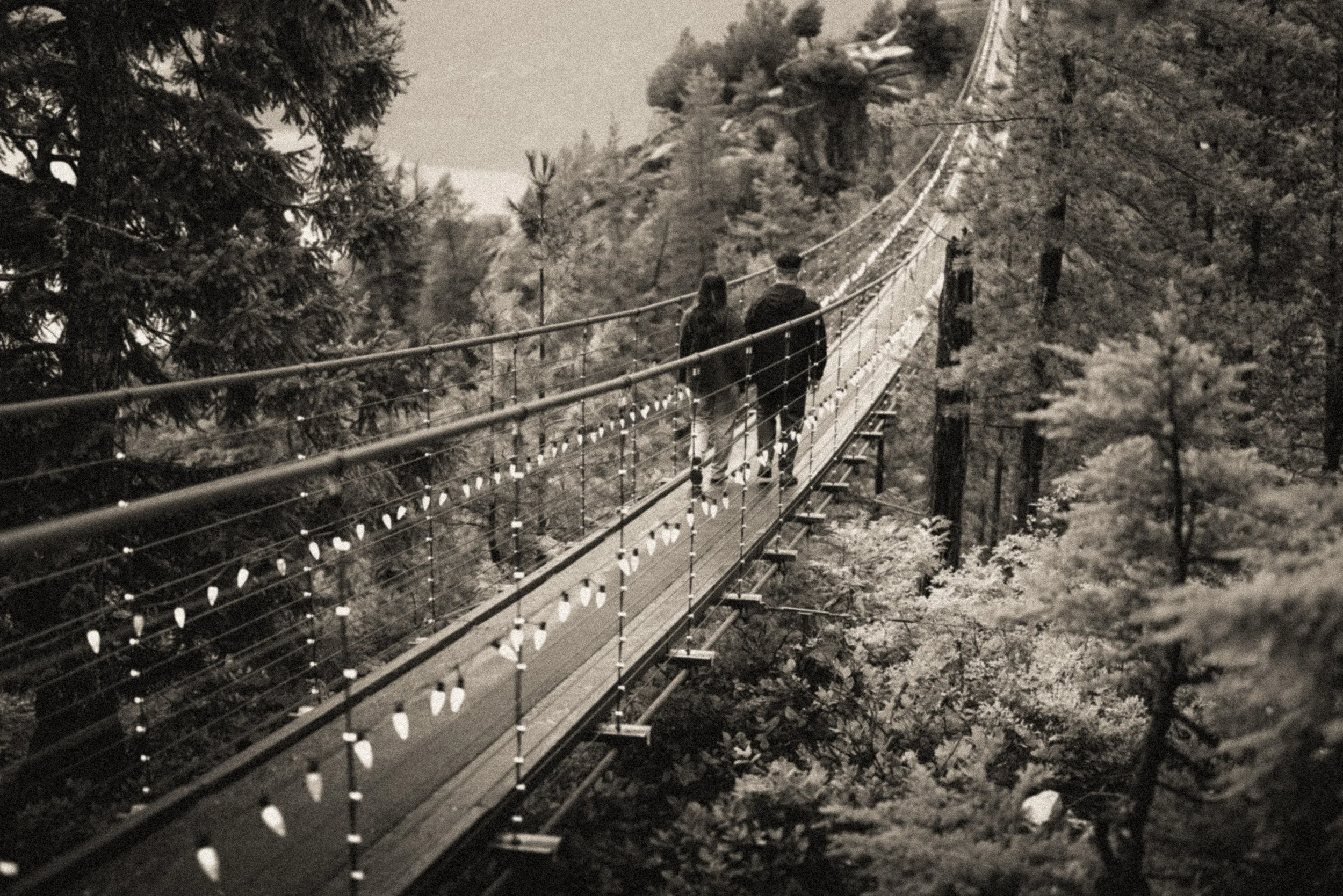SeatoSkyGondola_Proposal_Photography-0055.jpg