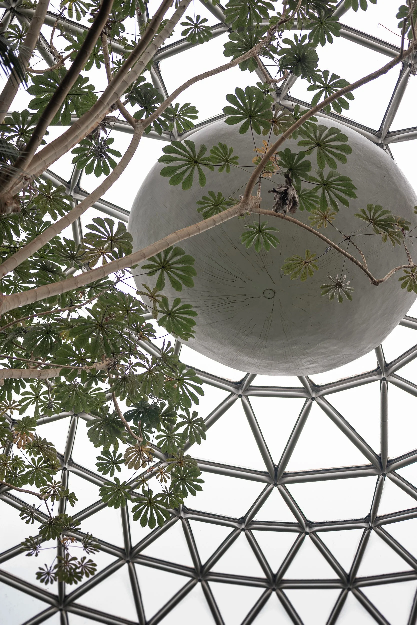Bloedel_Conservatory_Wedding-0145.jpg