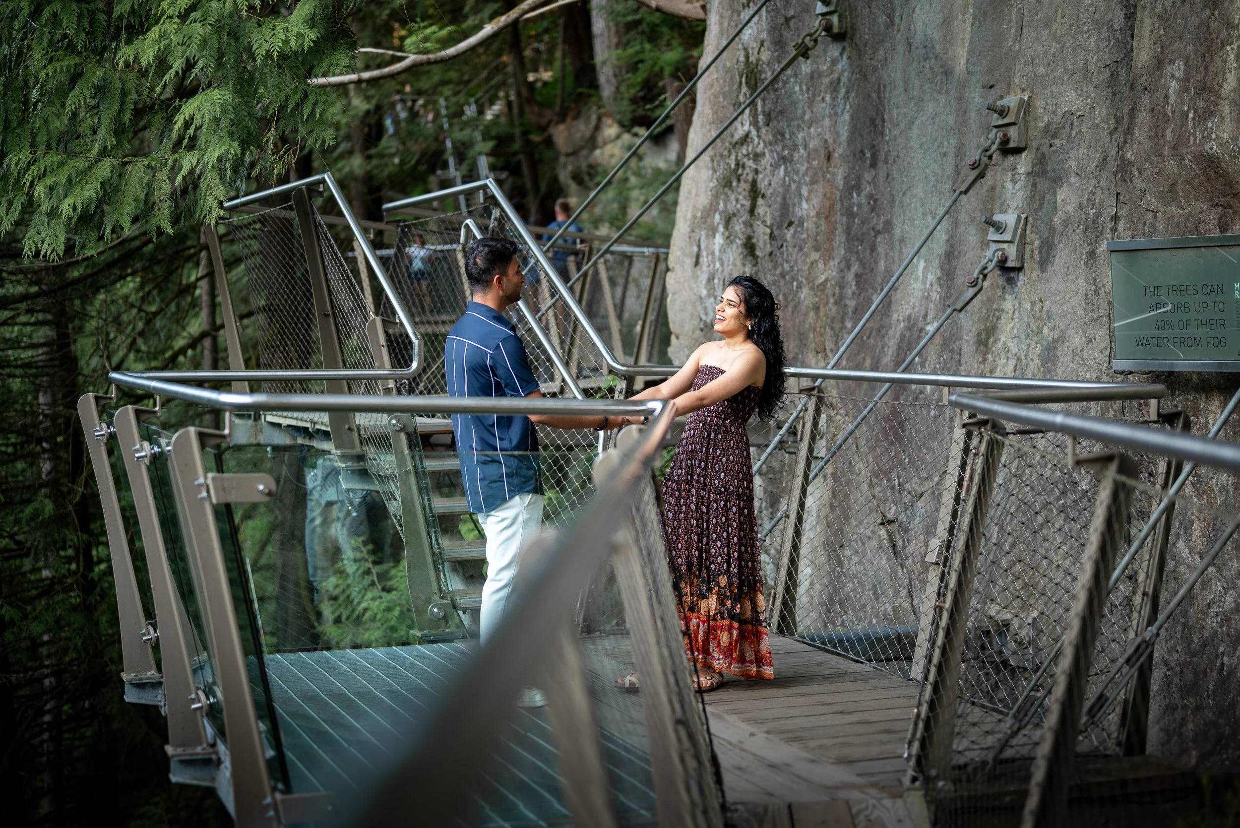 CapilanoSuspensionBridgeProposal-0070.jpg