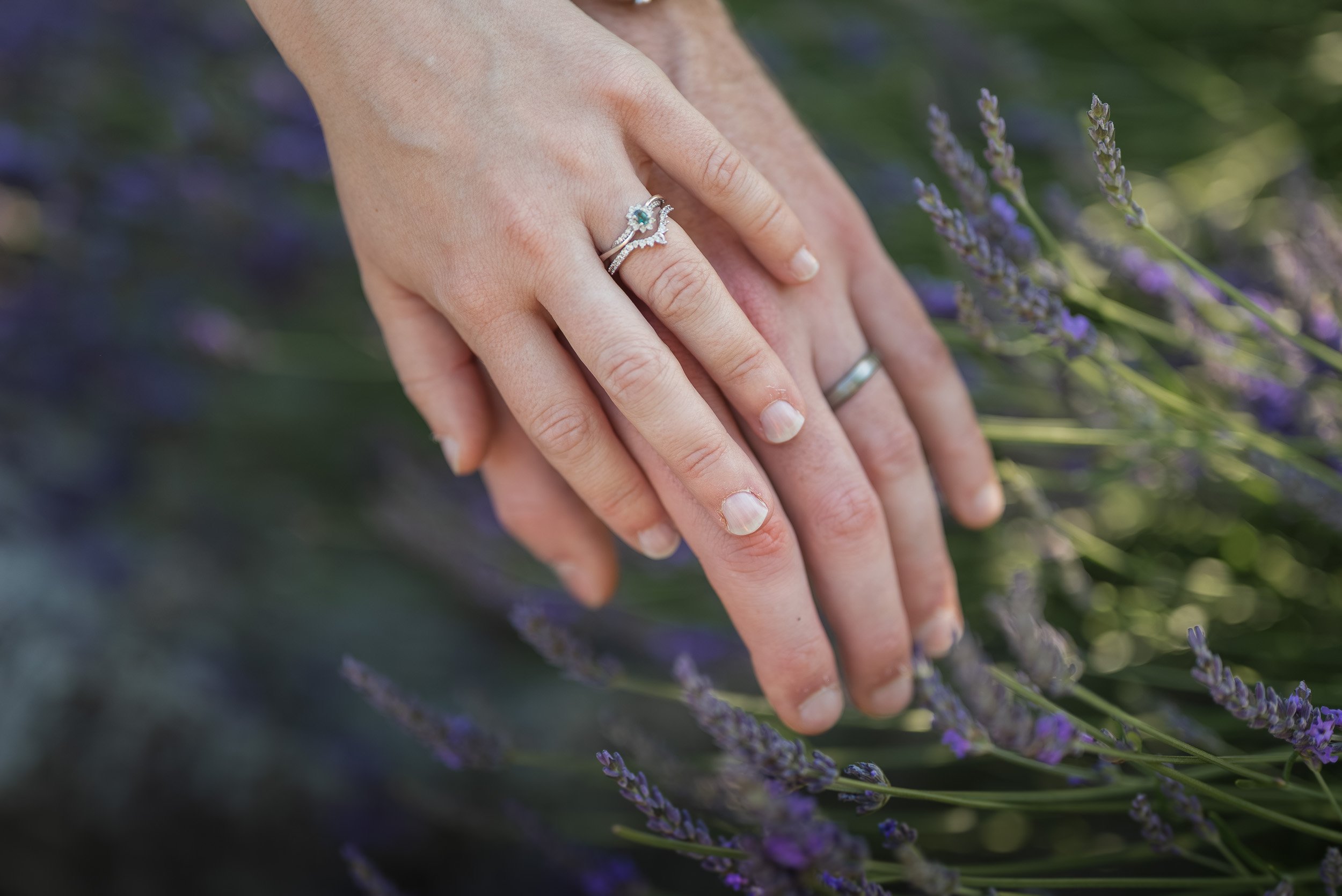 Bloedel_Conservatory_Wedding_Photographer-0101.jpg