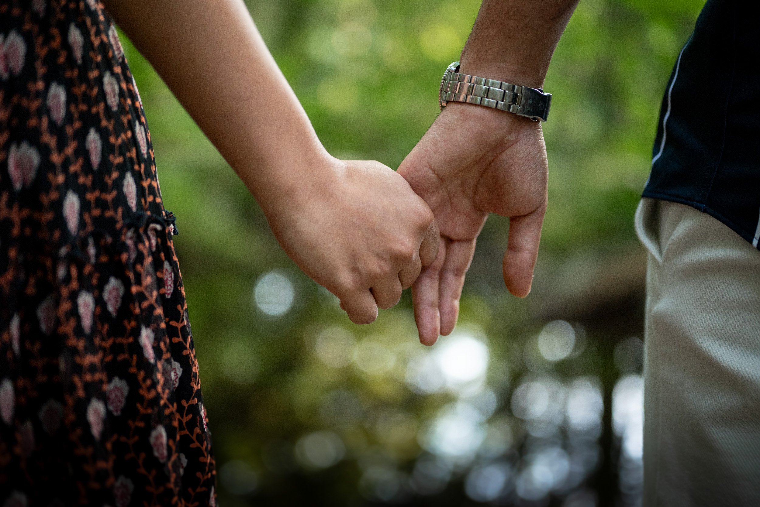 CapilanoSuspensionBridgeProposal-0088.jpg