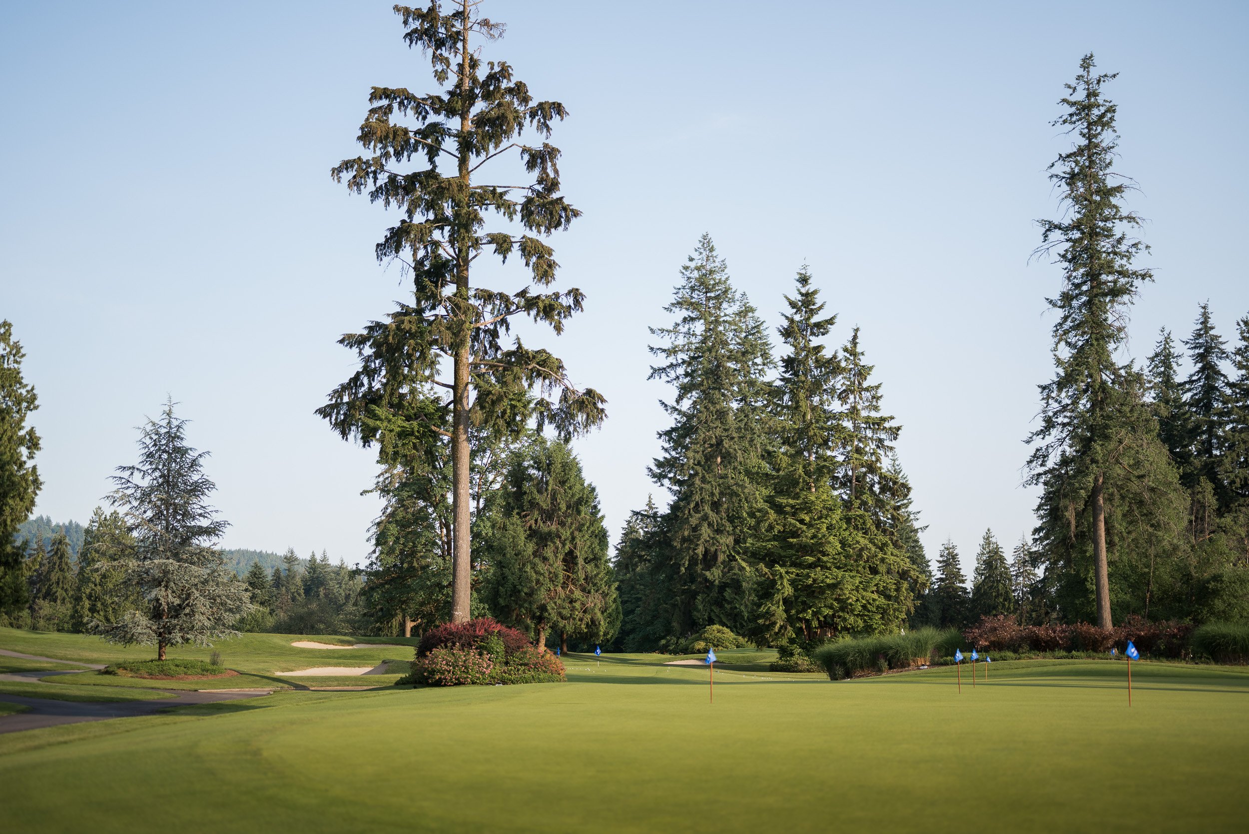 Seymour_GolfandCountryClub_Wedding-0001.jpg