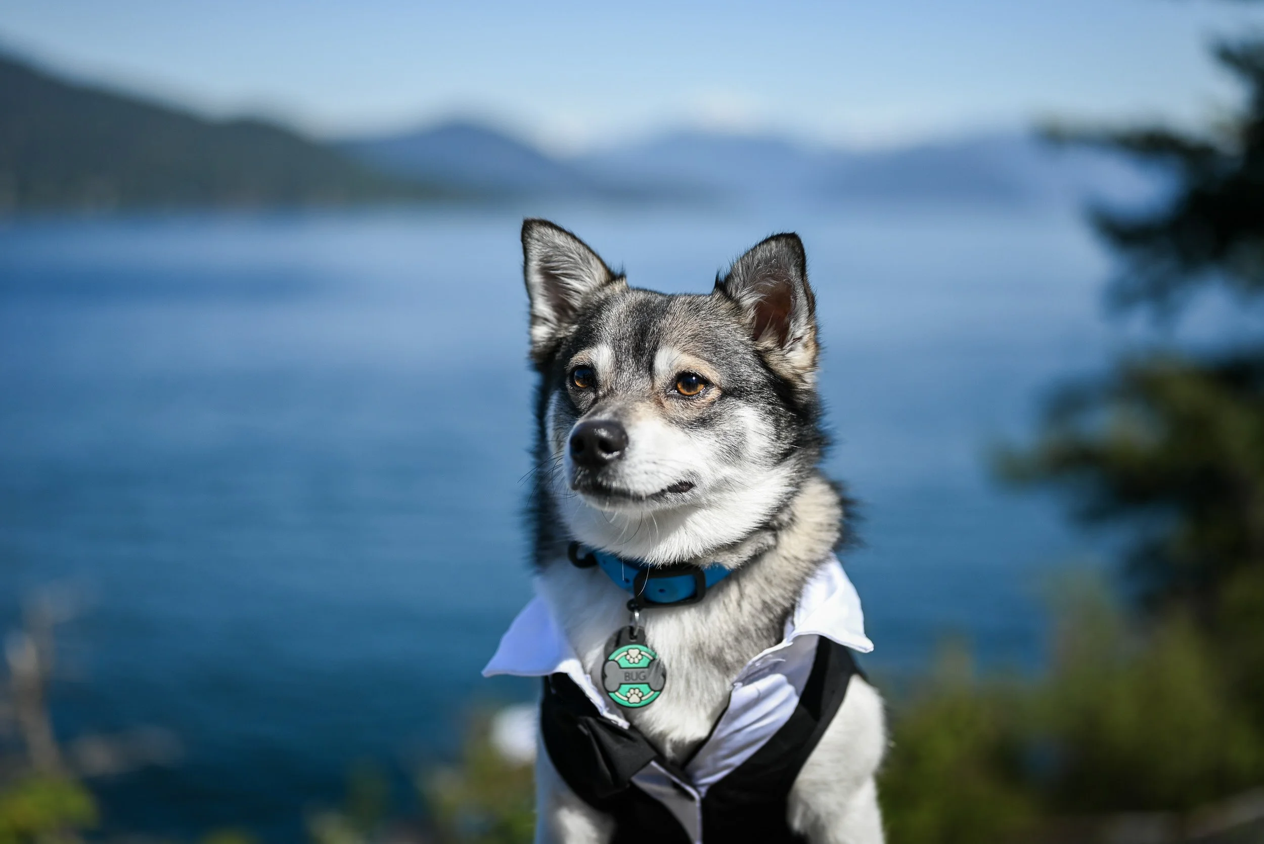 Whytecliff_Park_MicroWedding_Elopement-0105.jpg